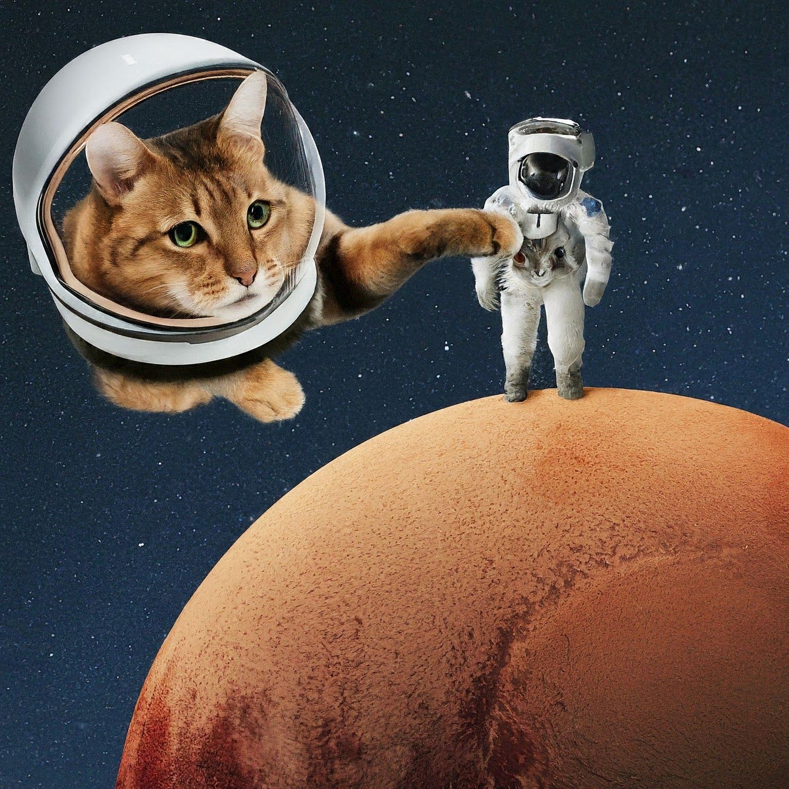 Un gato con casco espacial toca a un hombre en la cima de Plutón