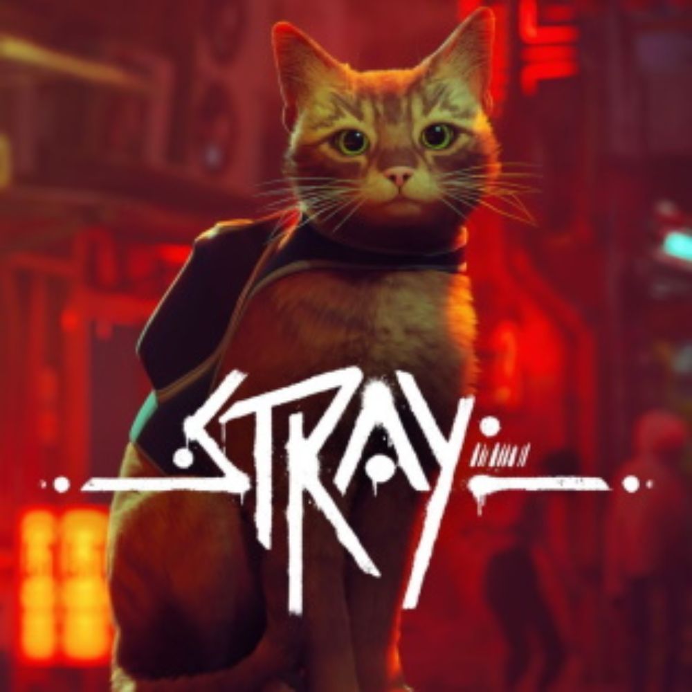 An image showing the box art of Stray with a cat sitting in front of a neon-filled red backdrop.