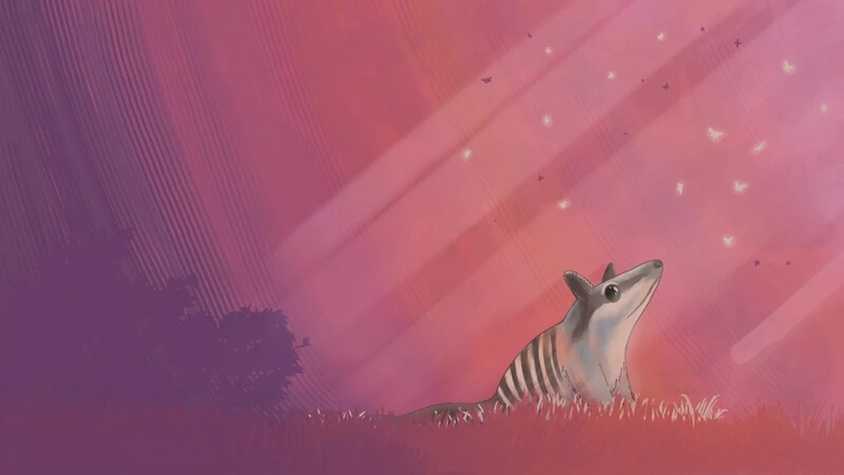 Linux 24.04 wallpaper