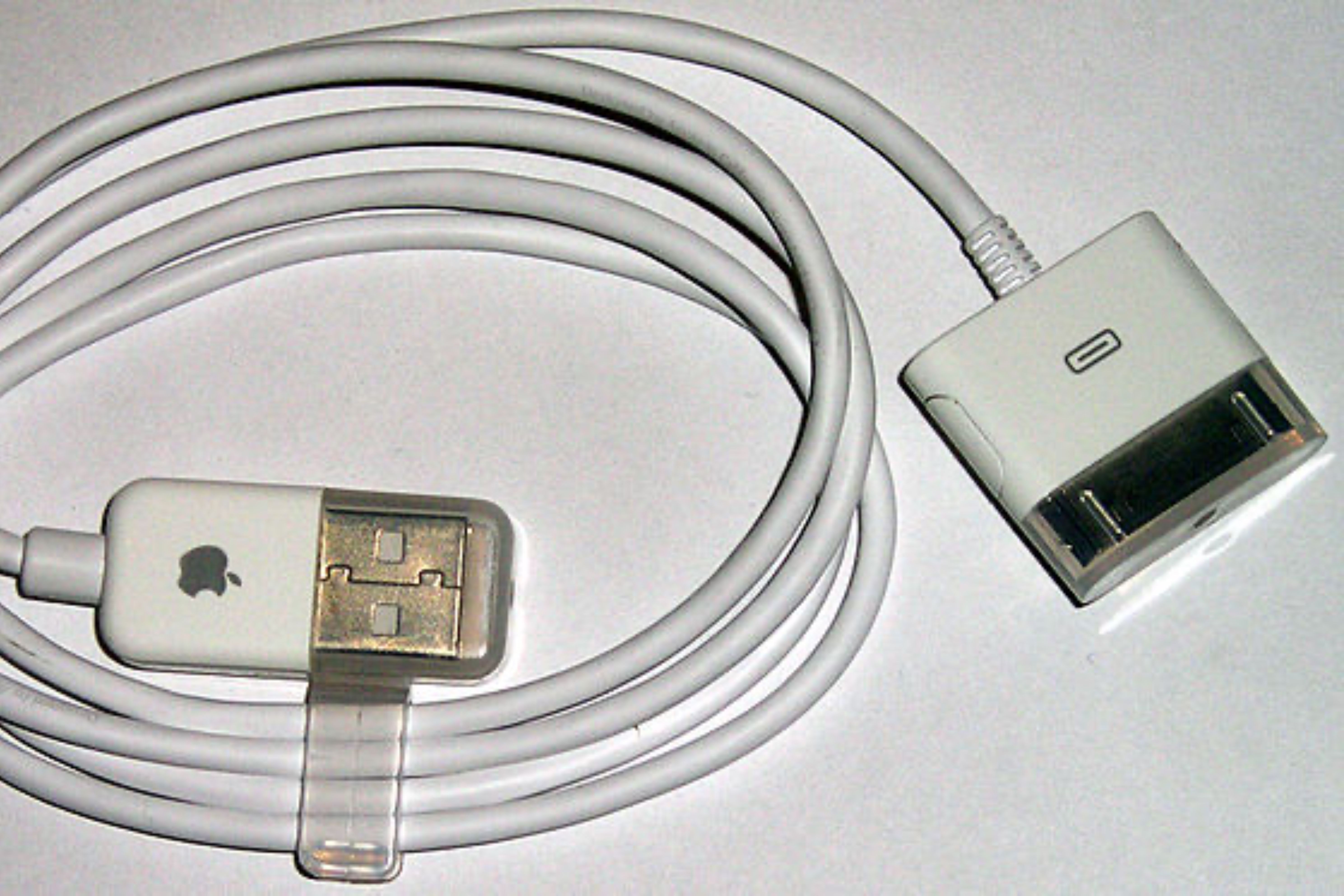 A 30-pin to USB cable.