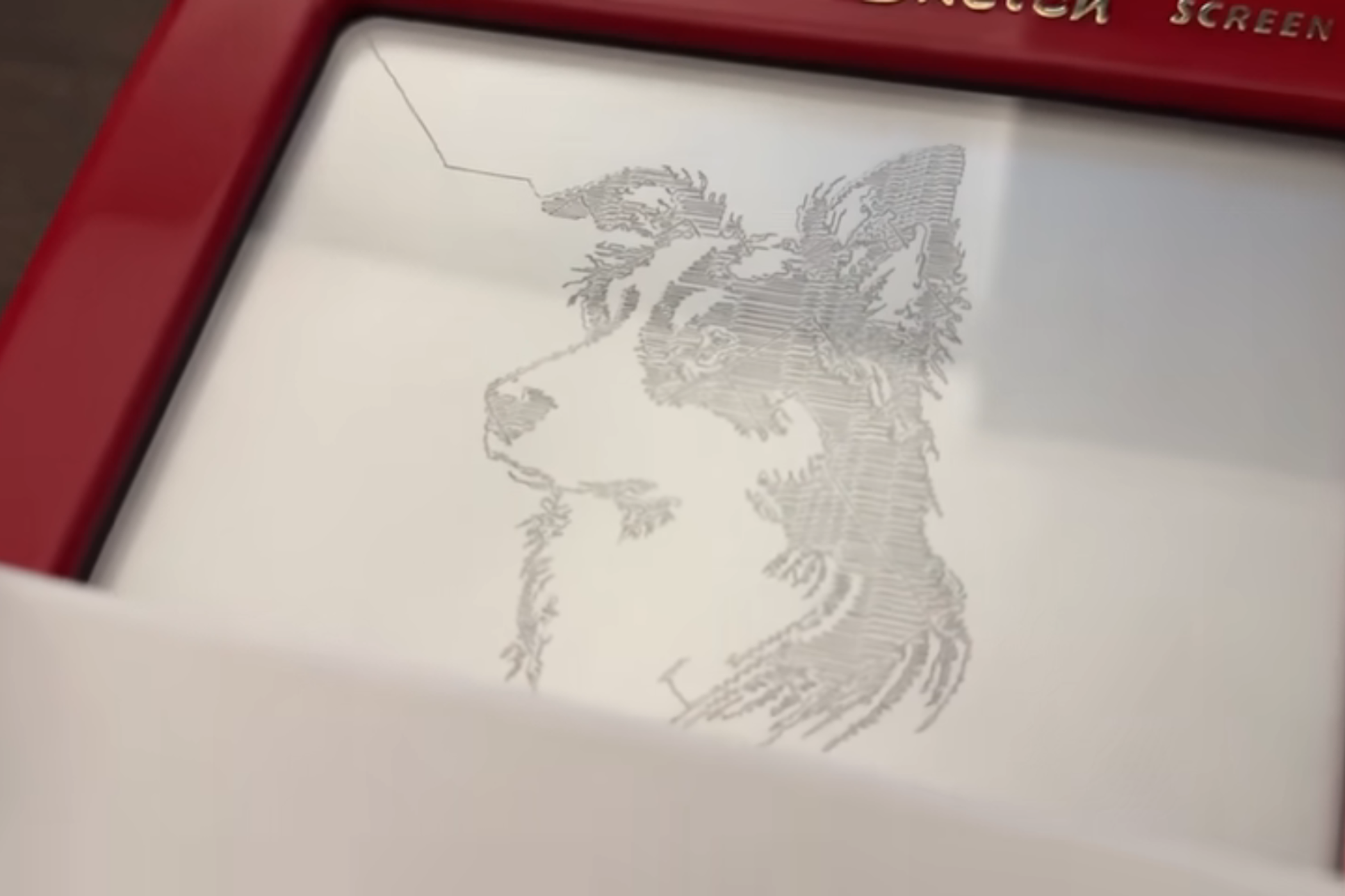 The Raspberry Pi Etch-a-Sketch drawing a dog