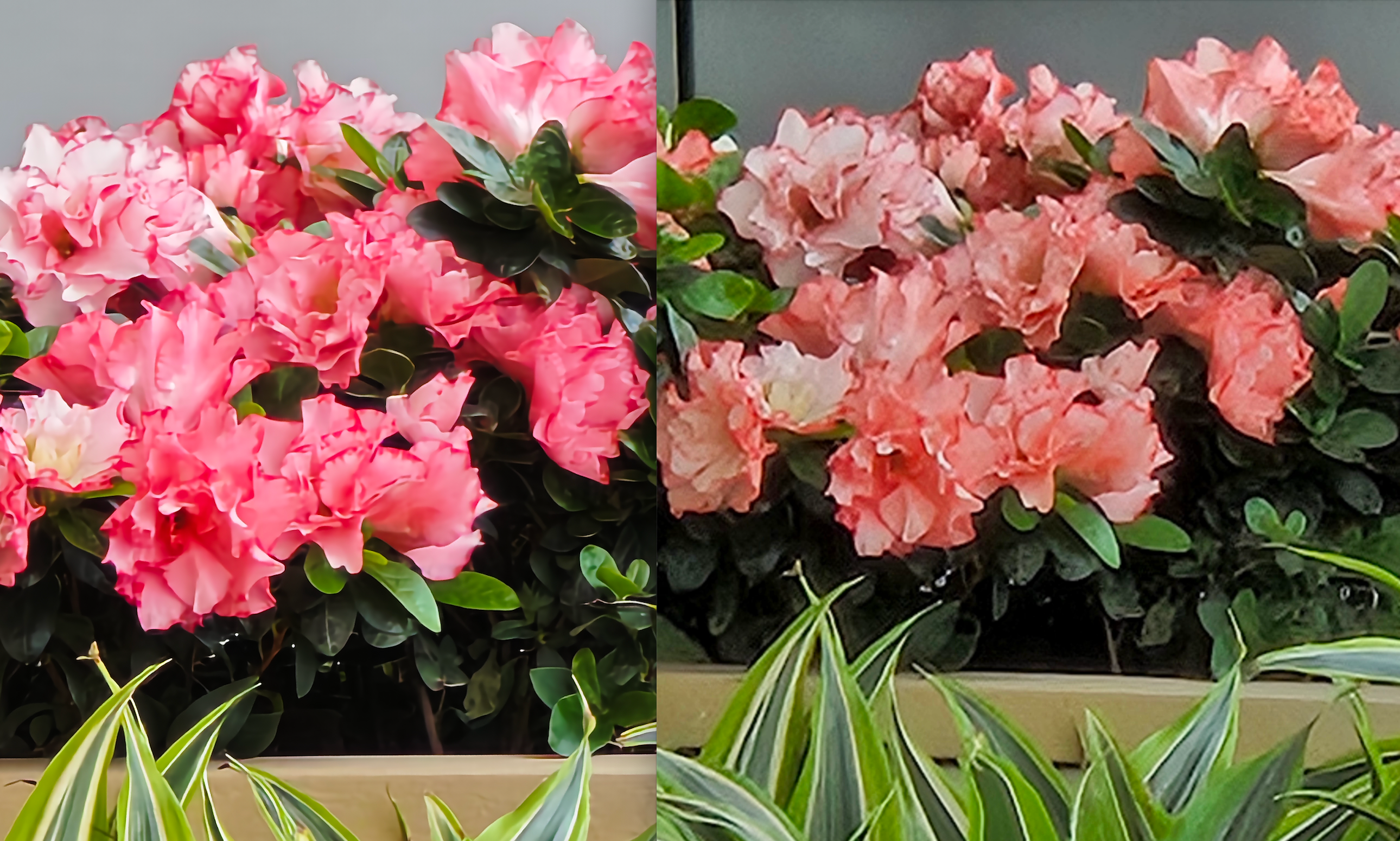 Screenshot 2024-04-17 at 11.35.47 AM