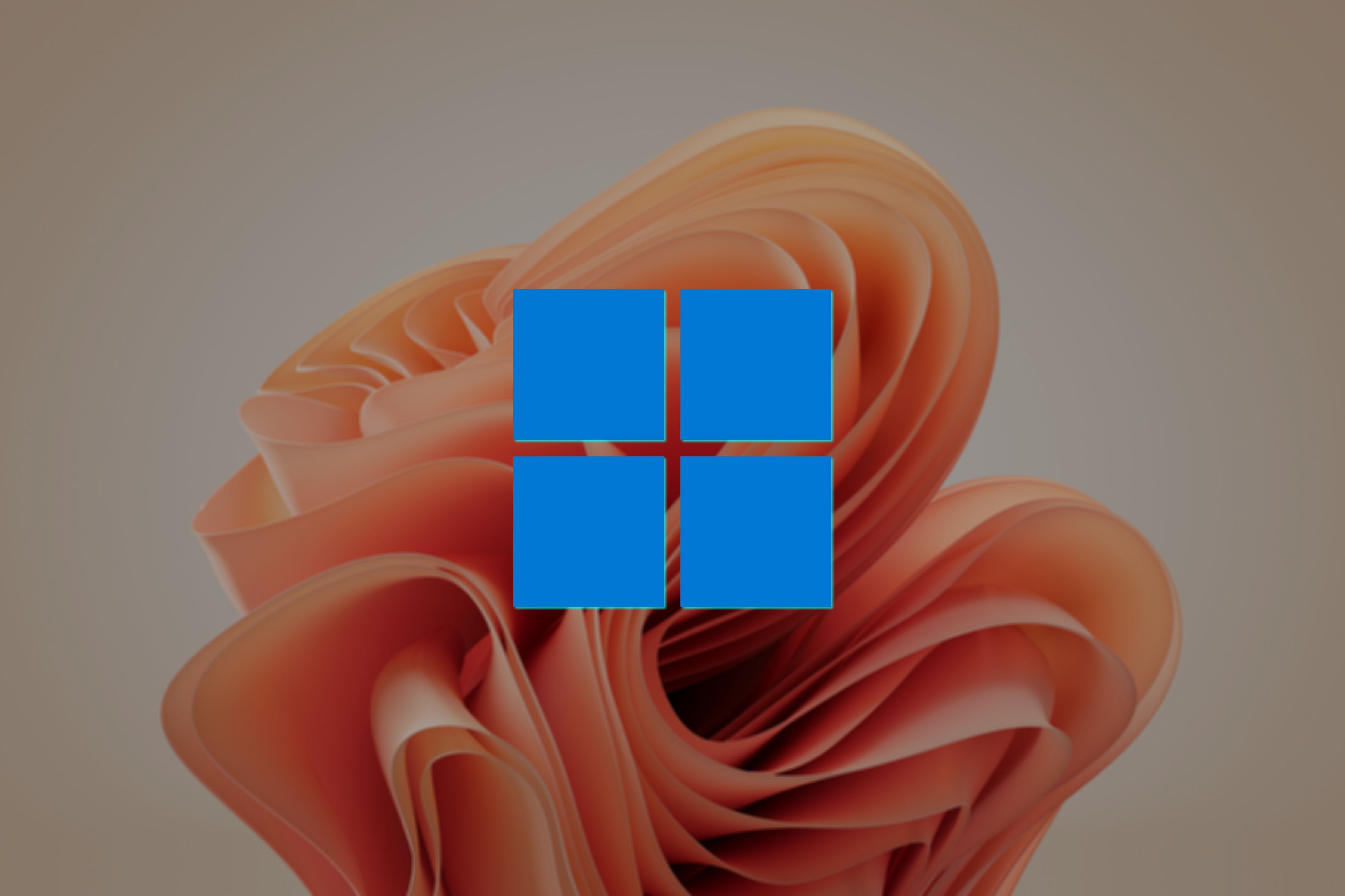 Windows 11 logo over BLoom Wallpaper sandstone