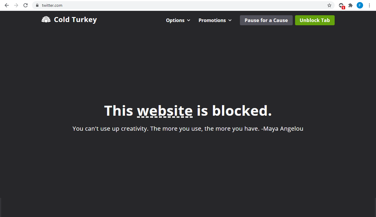 Página de bloqueo de Cold Turkey en Chrome