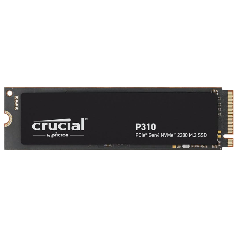 Crucial P310