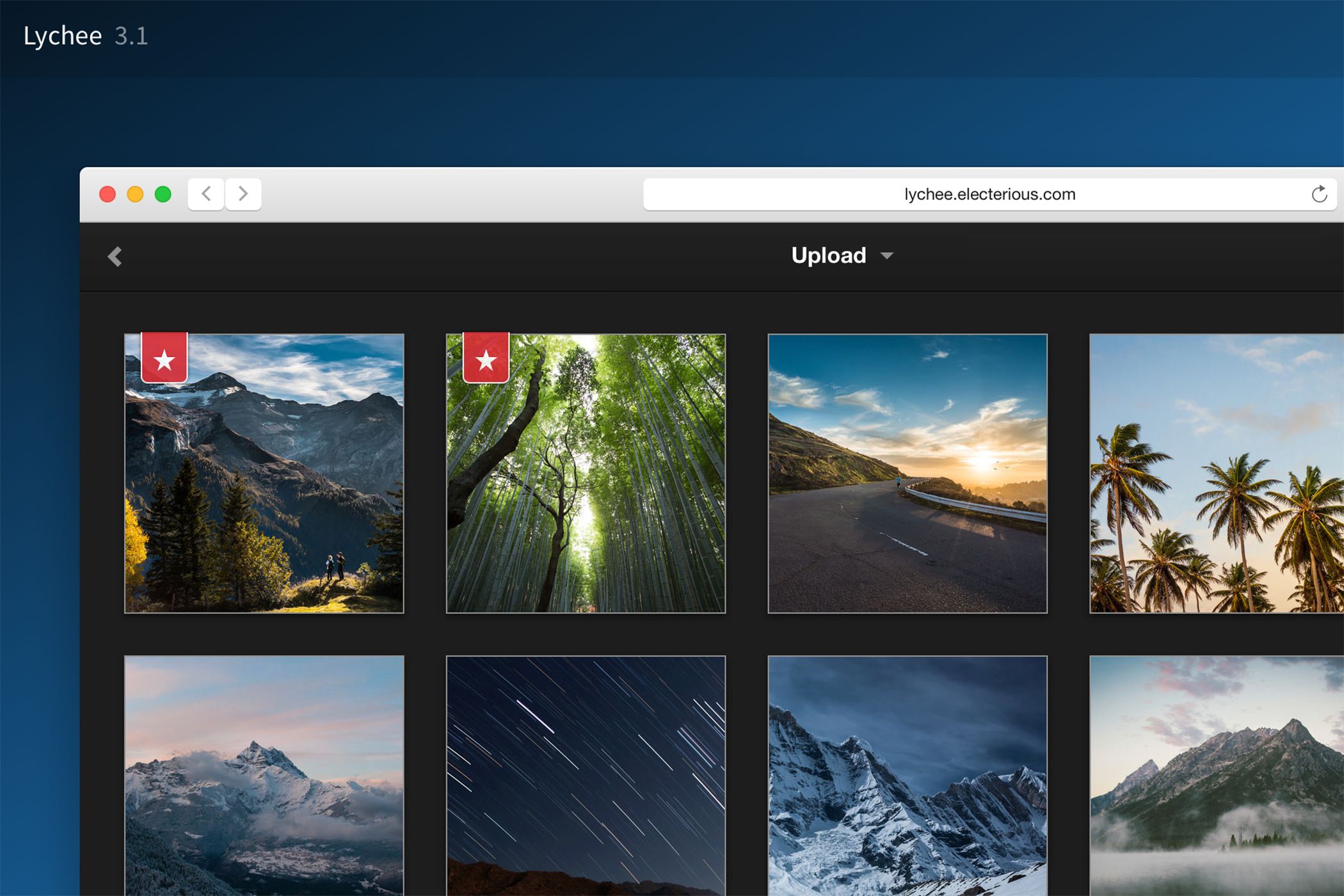 Lychee photo management software