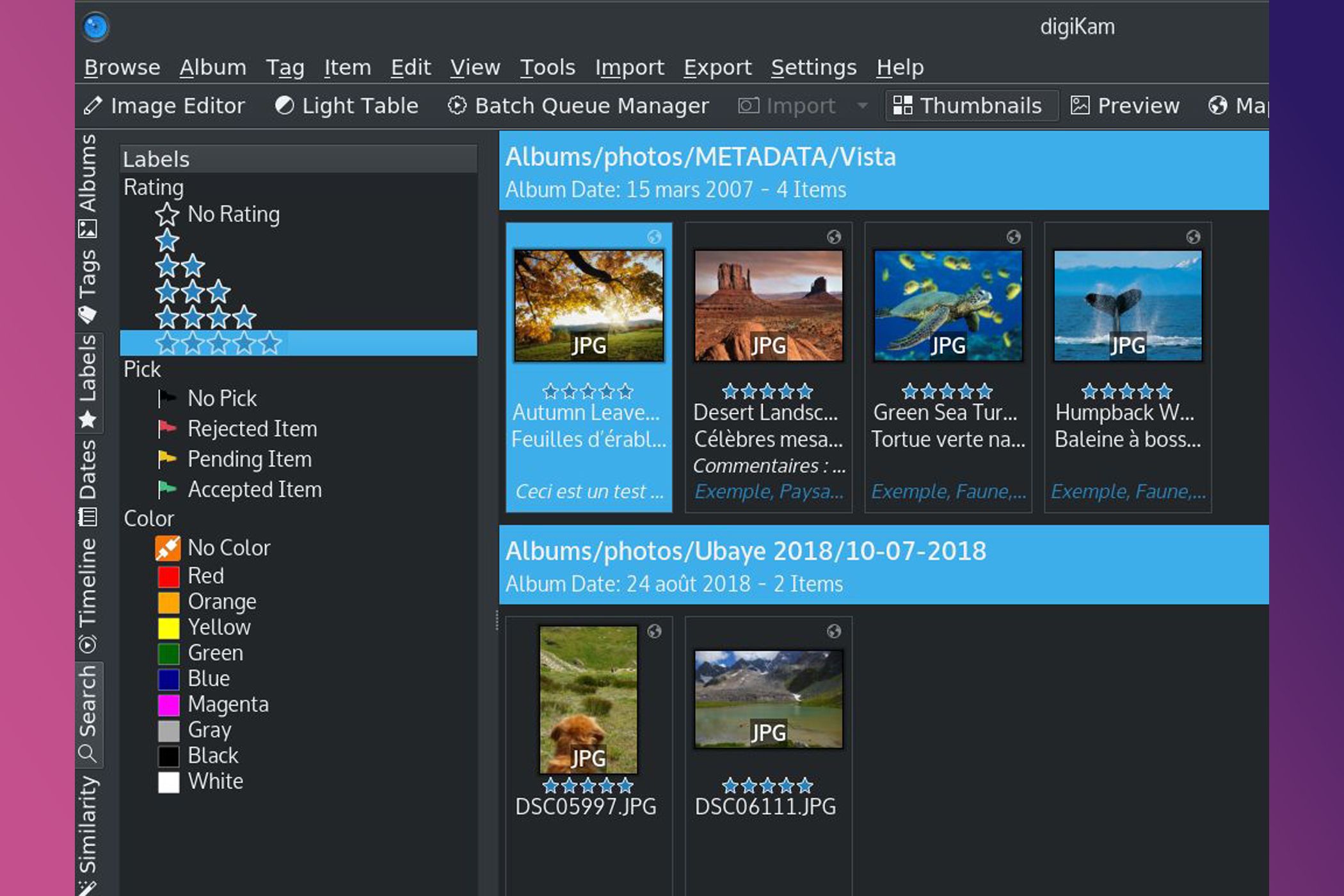 Categorización de imágenes de Digikam