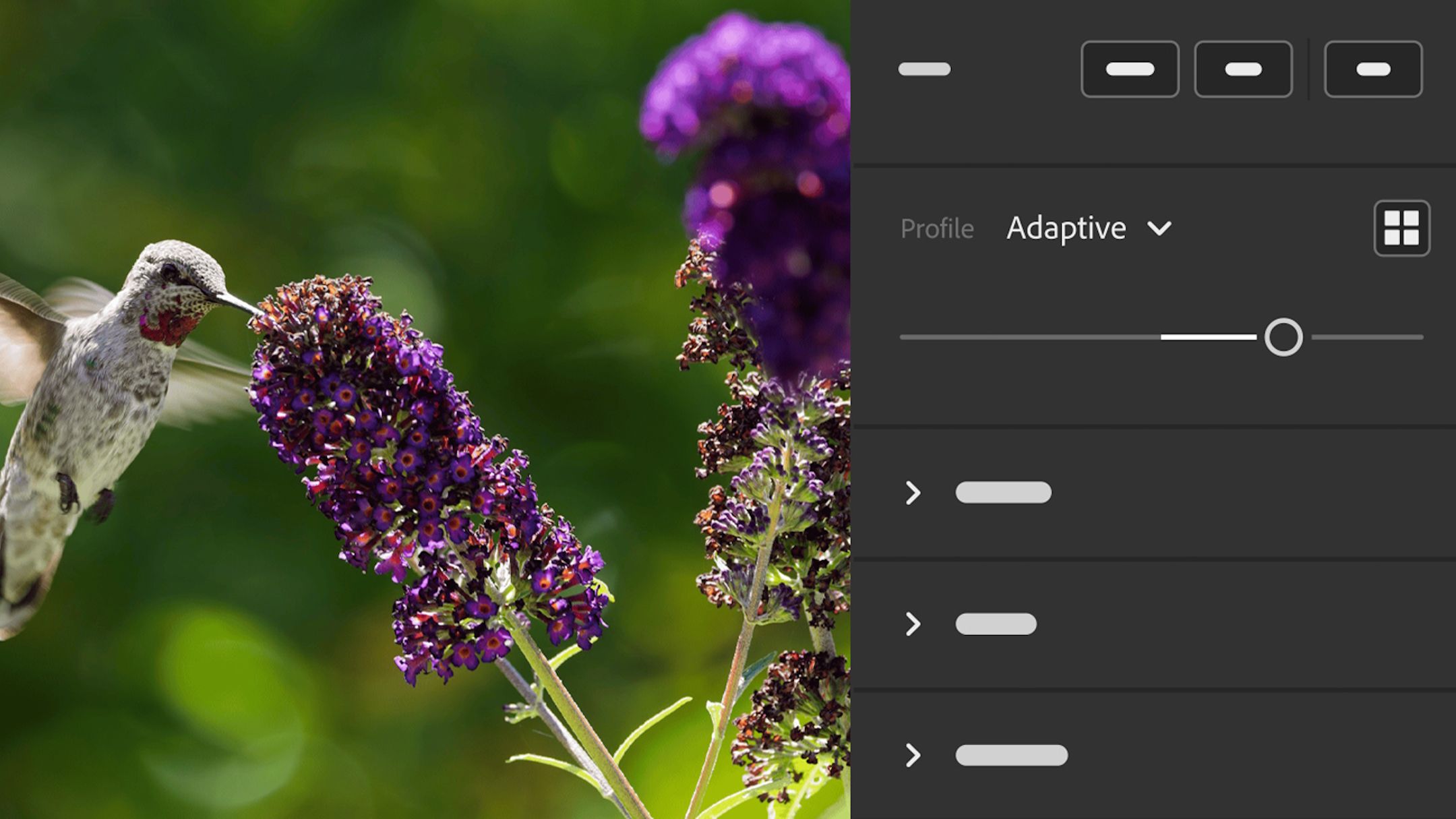 Adobe Lightroom receives a wave of amazing features to make image editing a lot easier