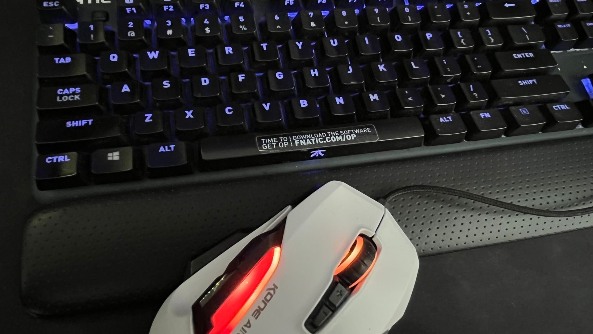 A shot of a FNATIC RGB keyboard and ROCCAT mouse.