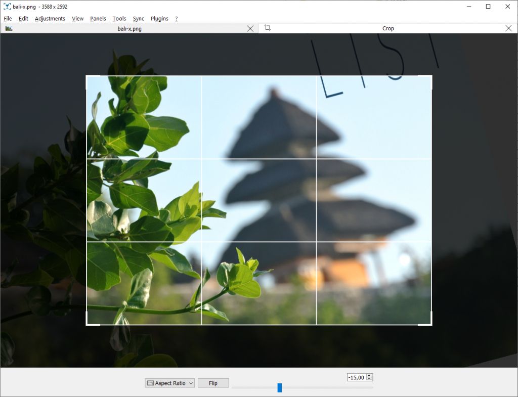 A screenshot of the crop tool added to Nomacs in 2020