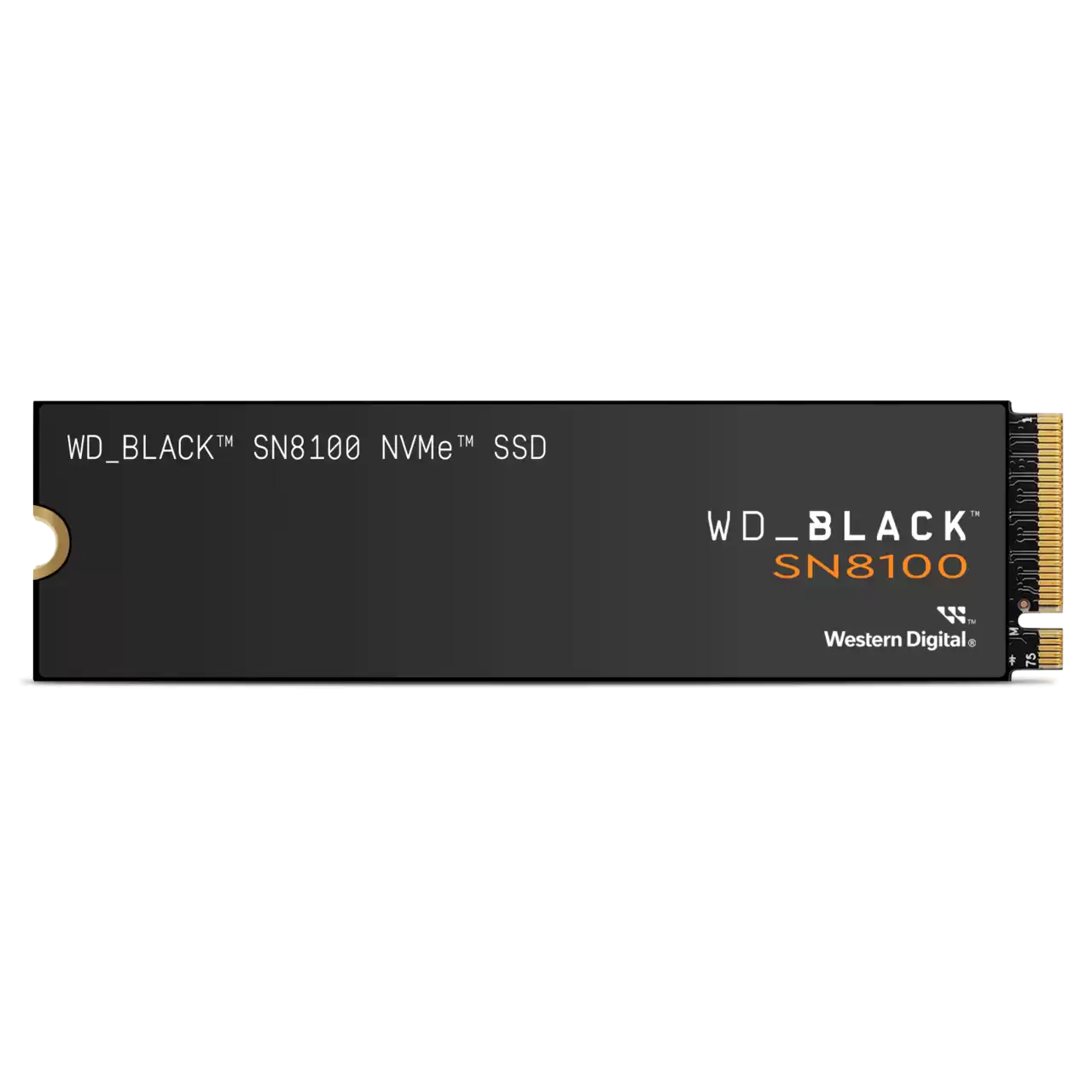wd-black-sn8100-nvme-ssd-front.png.wdthumb.1280.1280