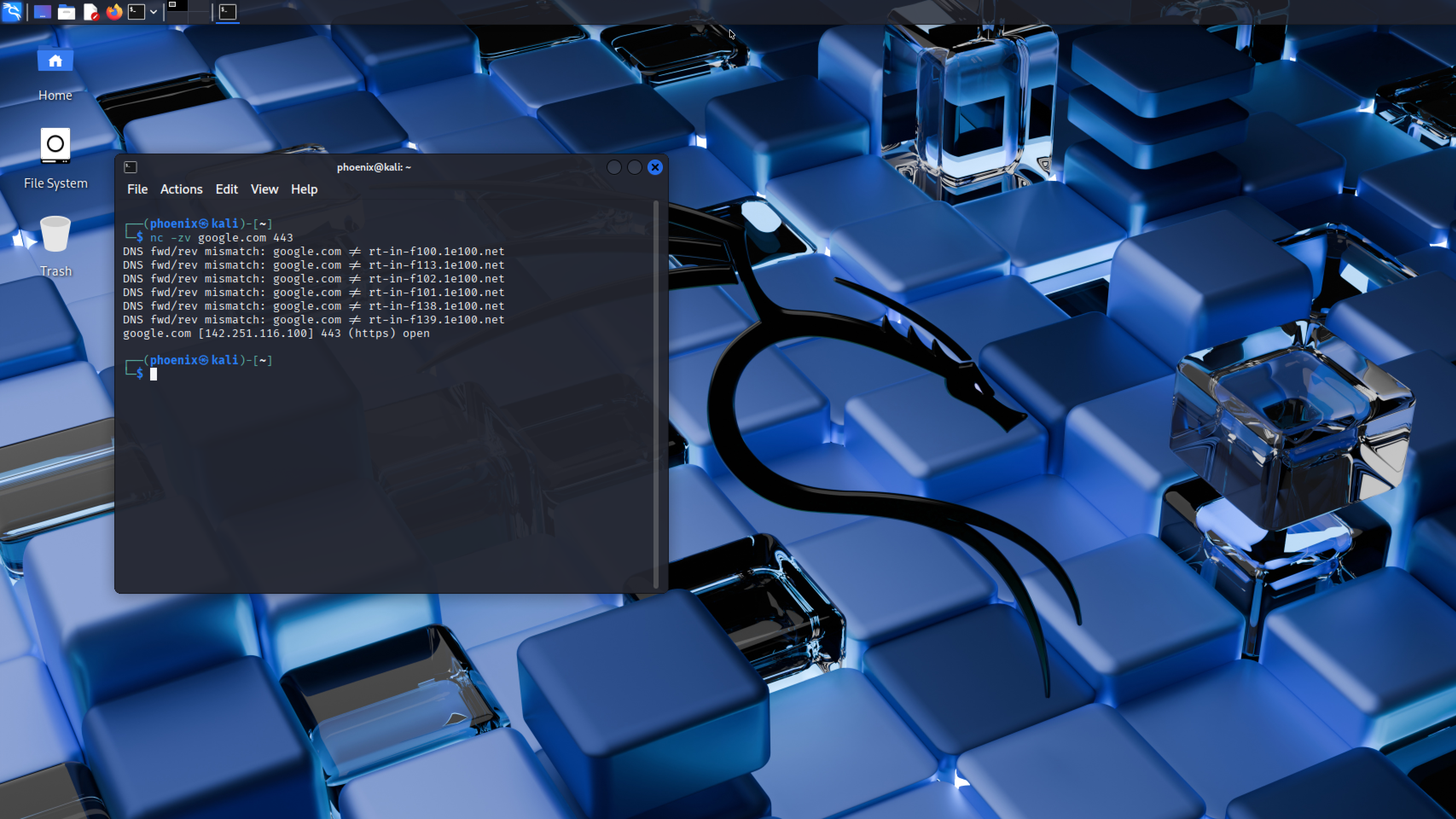 netcat scan