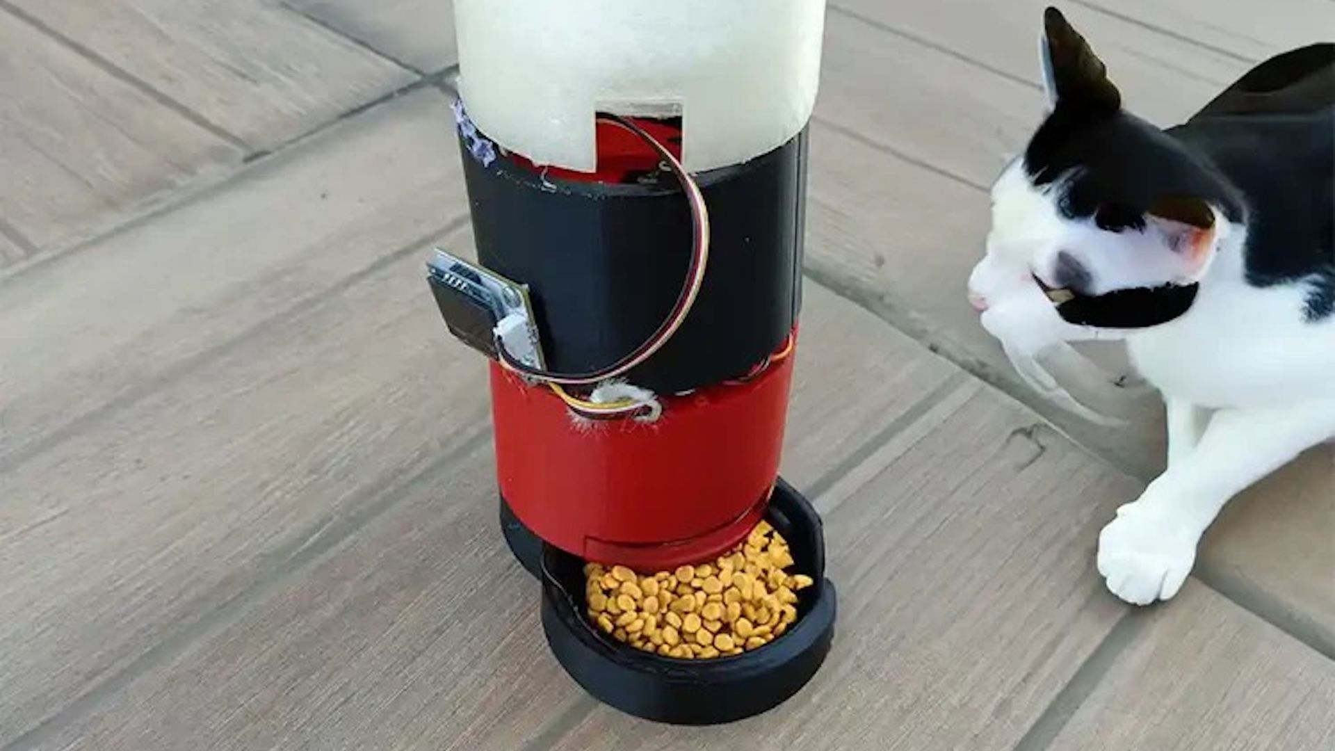 diy-ped-feeder by PicoBricks