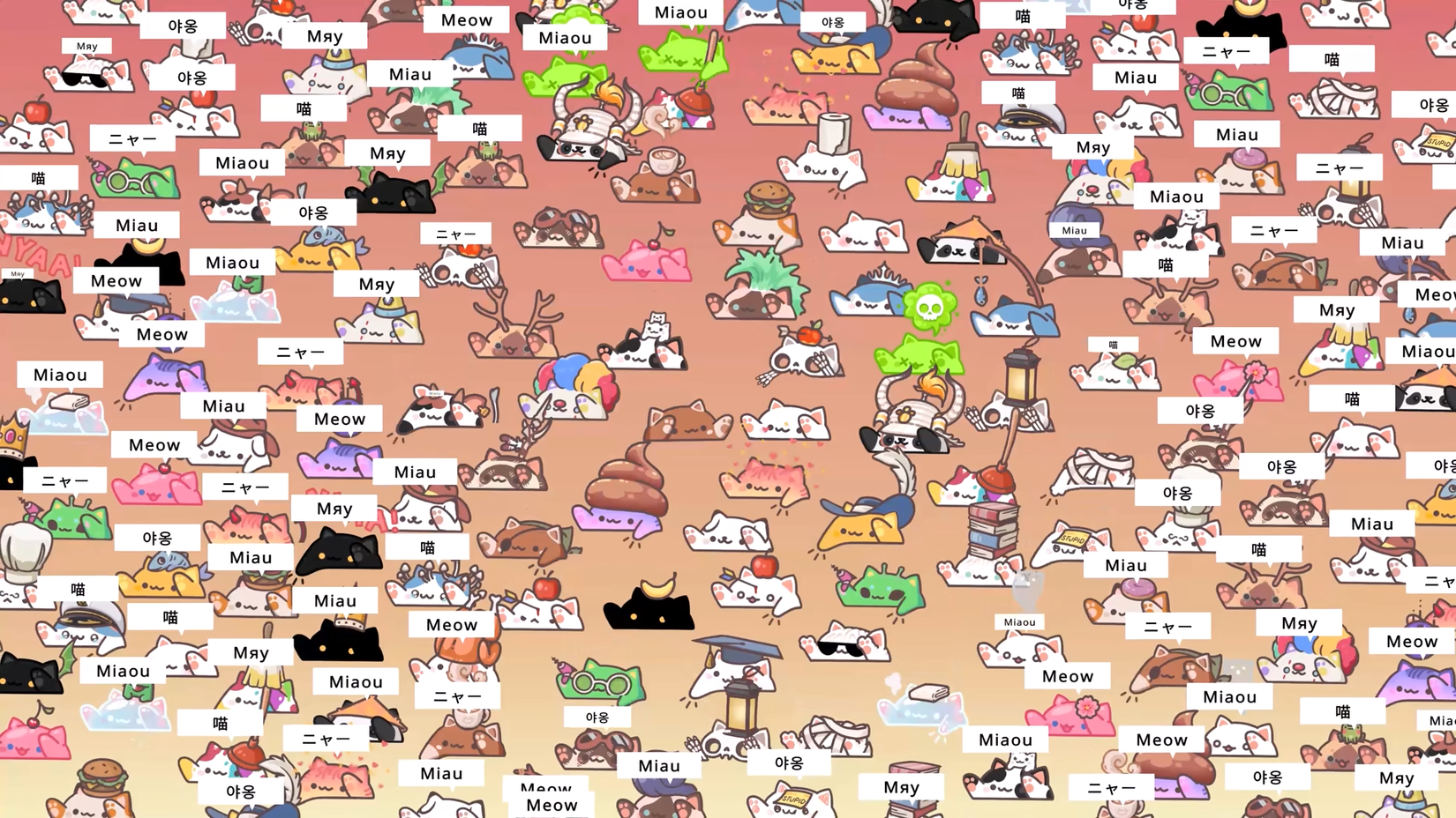 Más de 100 gatos de bongo en una pantalla