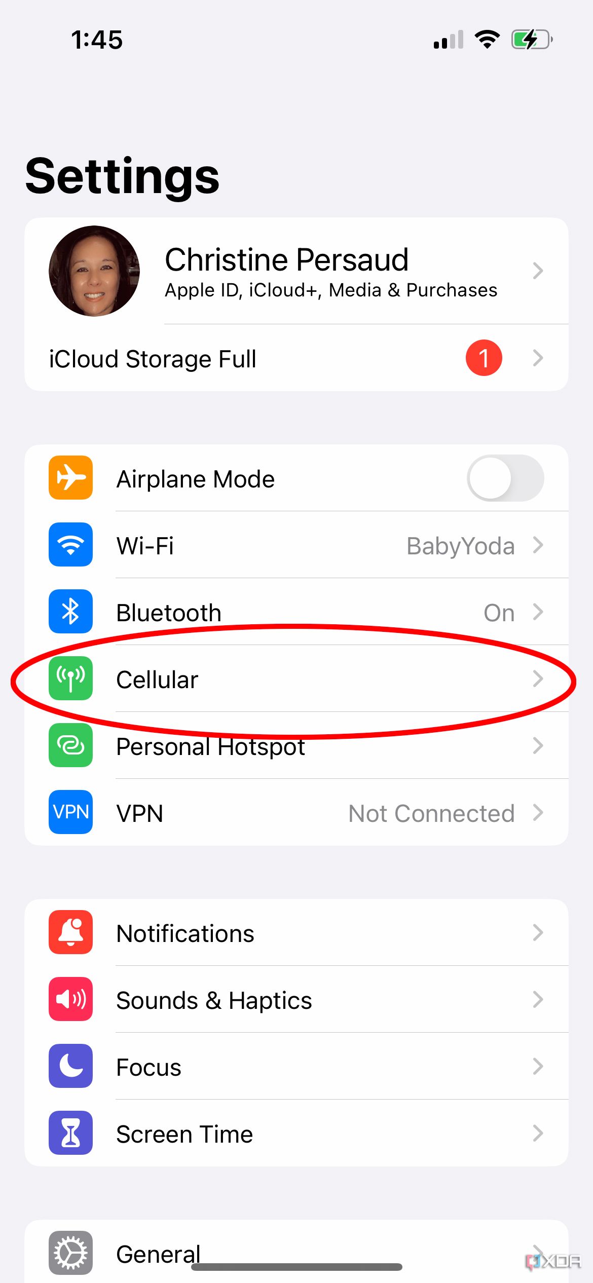 iPhone settings menu with Cellular highlighted