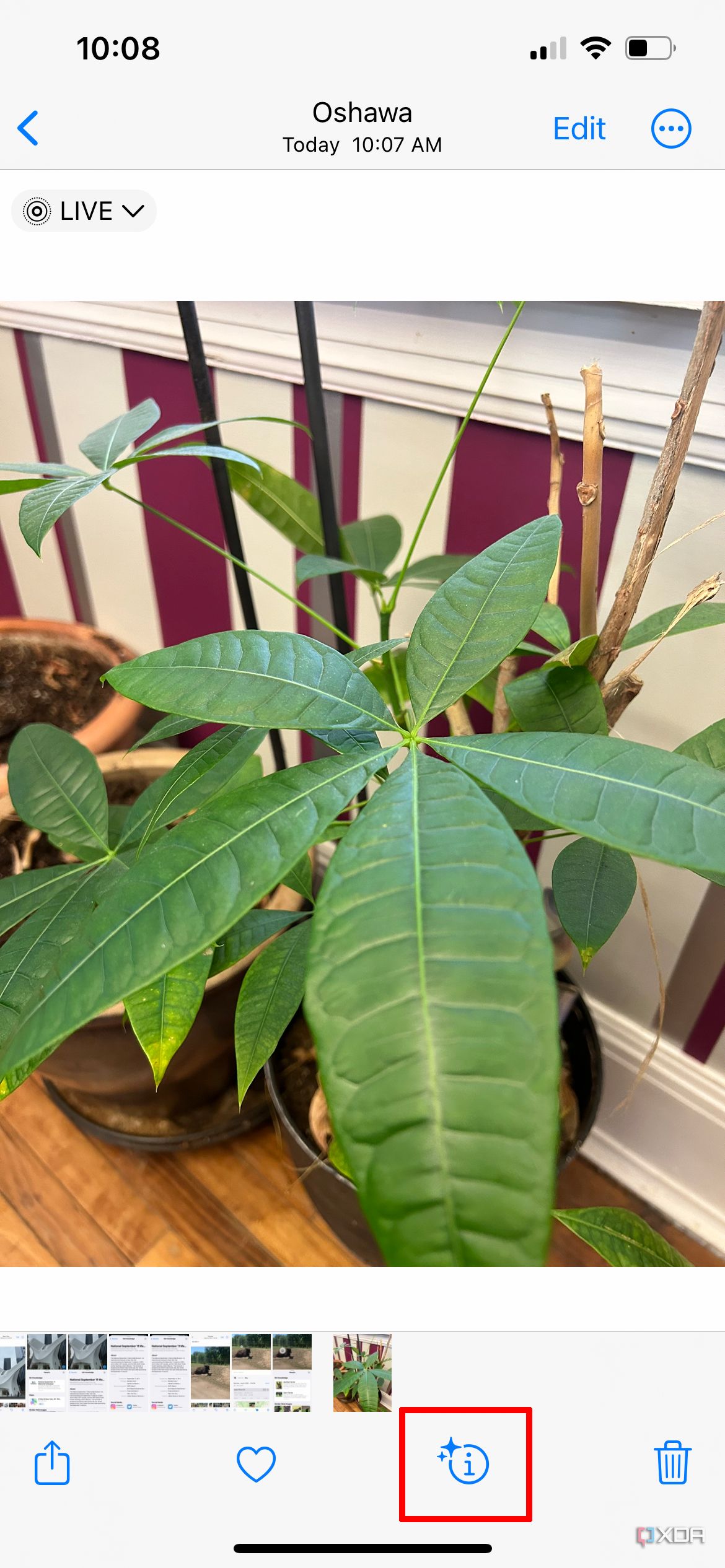 How to use Visual Look Up on iPhone