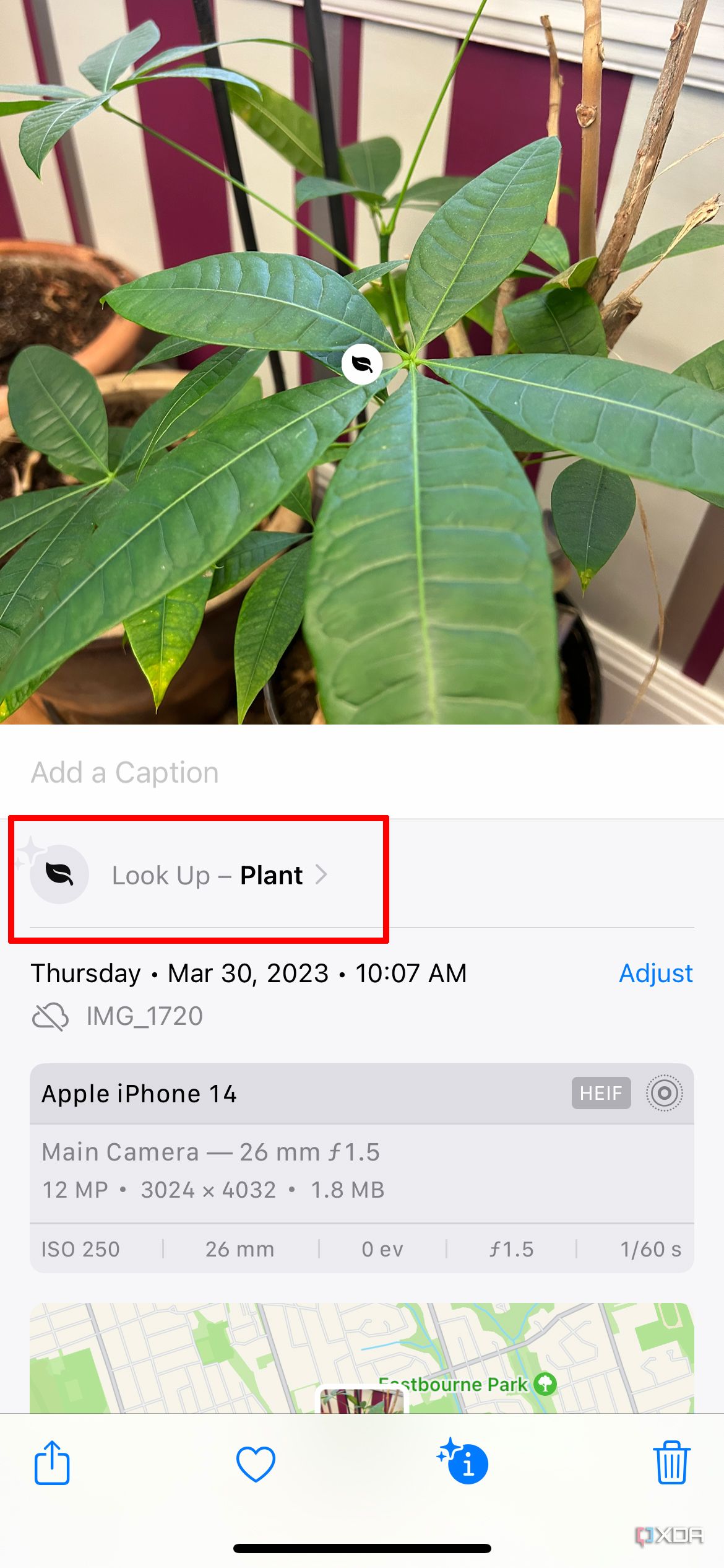 How to use Visual Look Up on iPhone