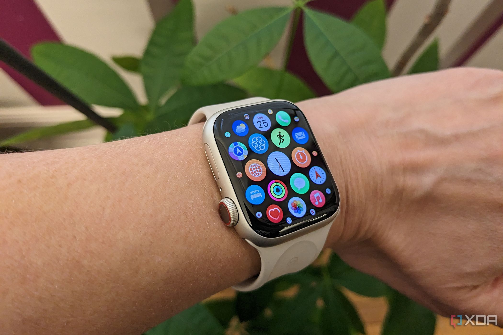 Apple Watch - FAQ & Instructions