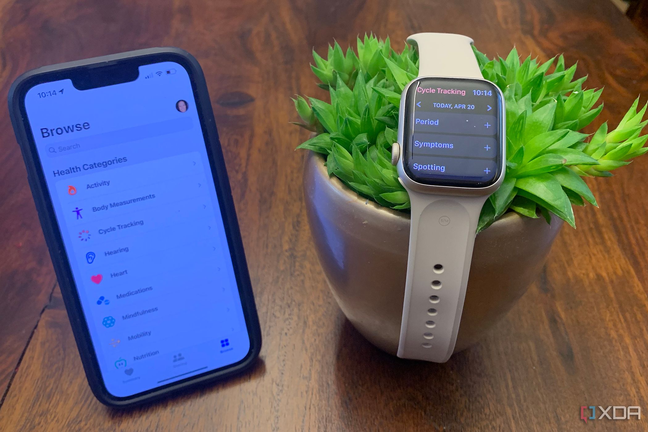 How to set up menstrual cycle tracking on iPhone (and log from Apple Watch)