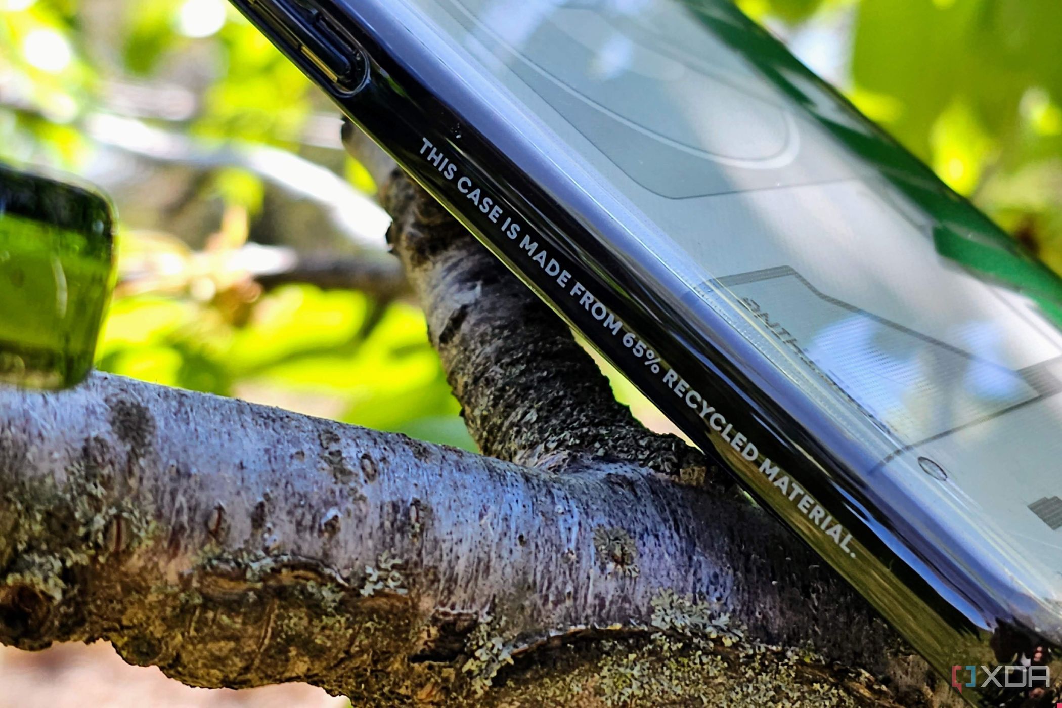 Pixel 6 Pro in einem Baum mit Casetify-Hülle