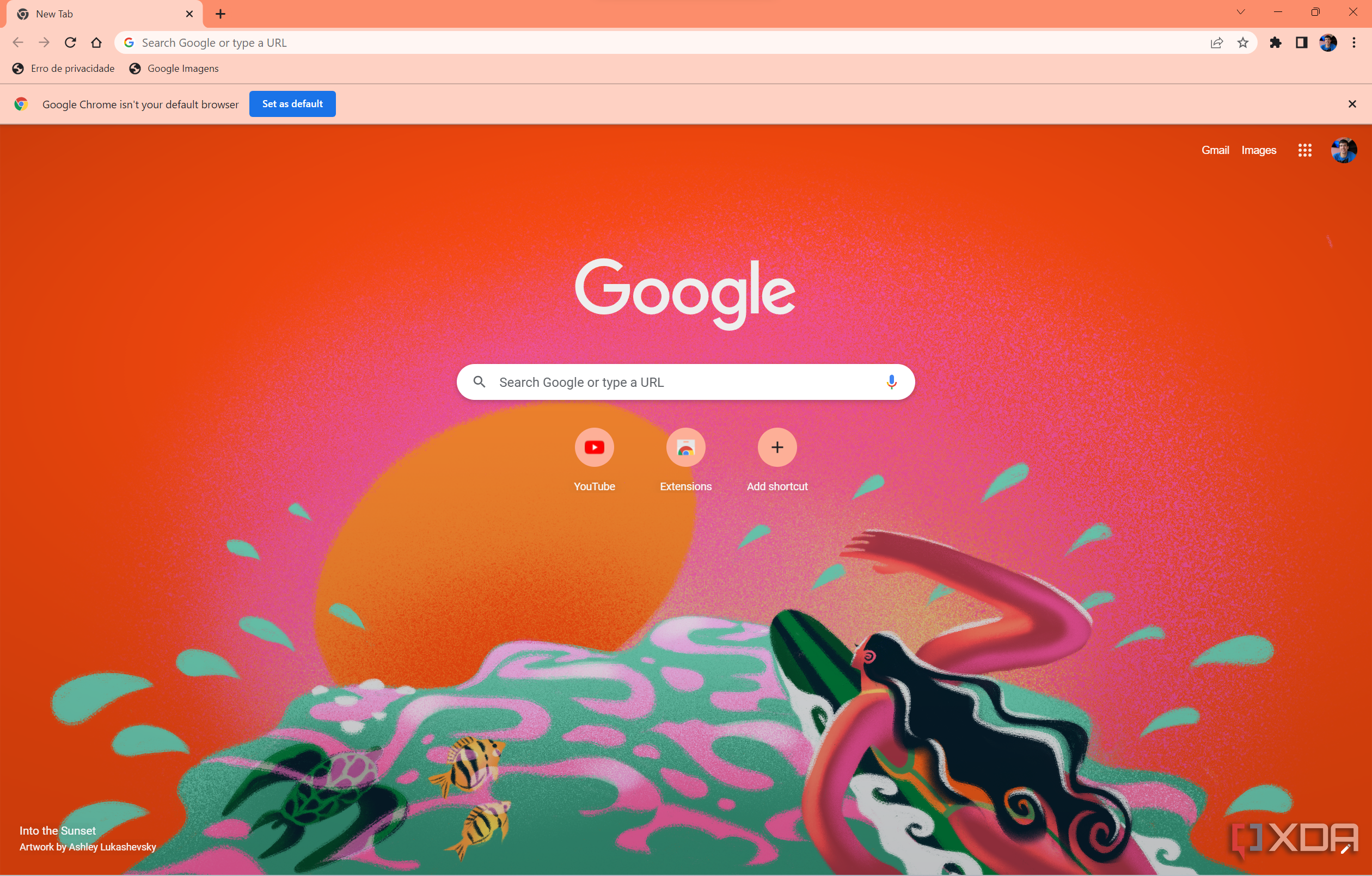 Screenshot of the Google Chrome homepage with a custom theme installed