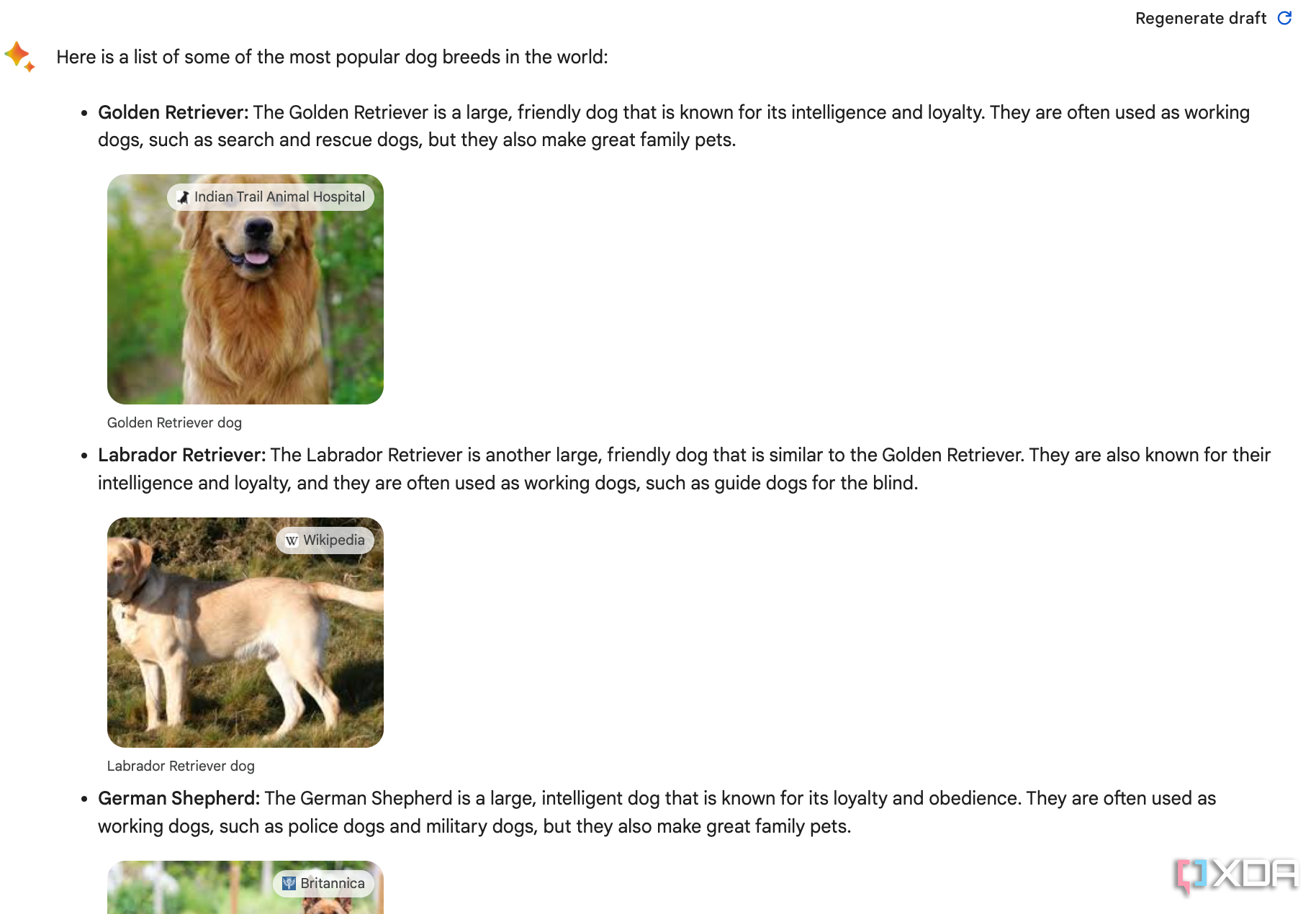 Google Bard List of Dogs