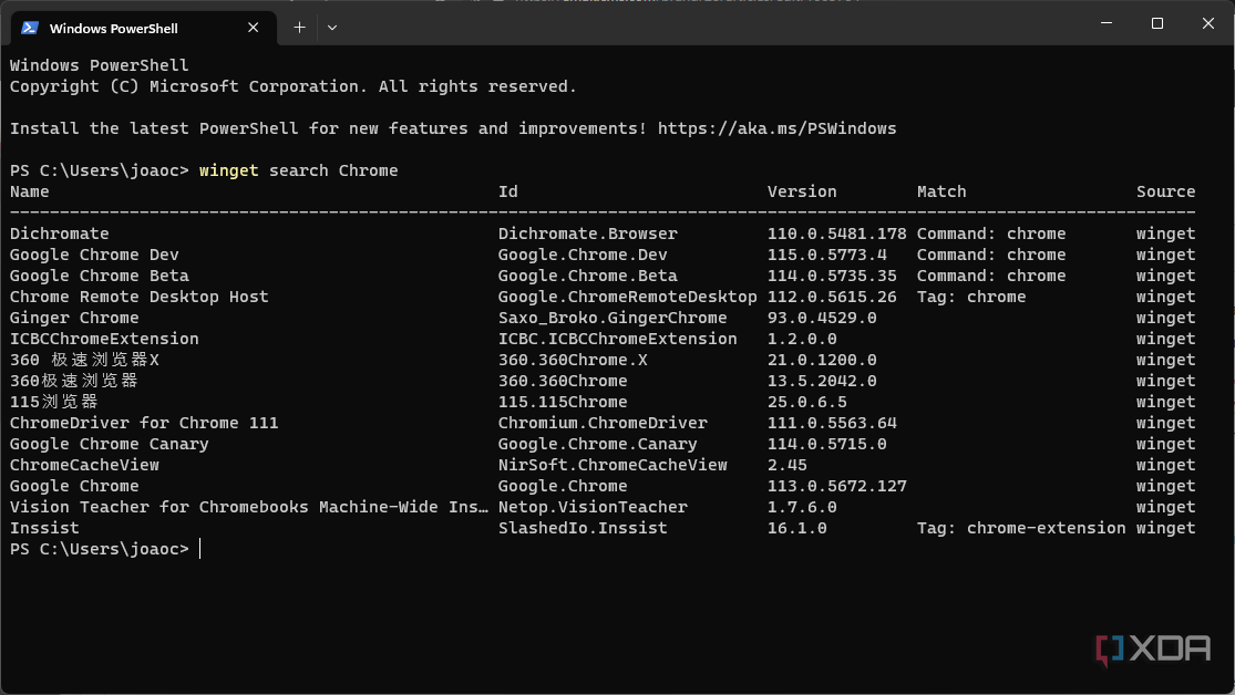 Captura de pantalla de una búsqueda realizada en el Administrador de paquetes de Windows, que muestra resultados para "Chrome"