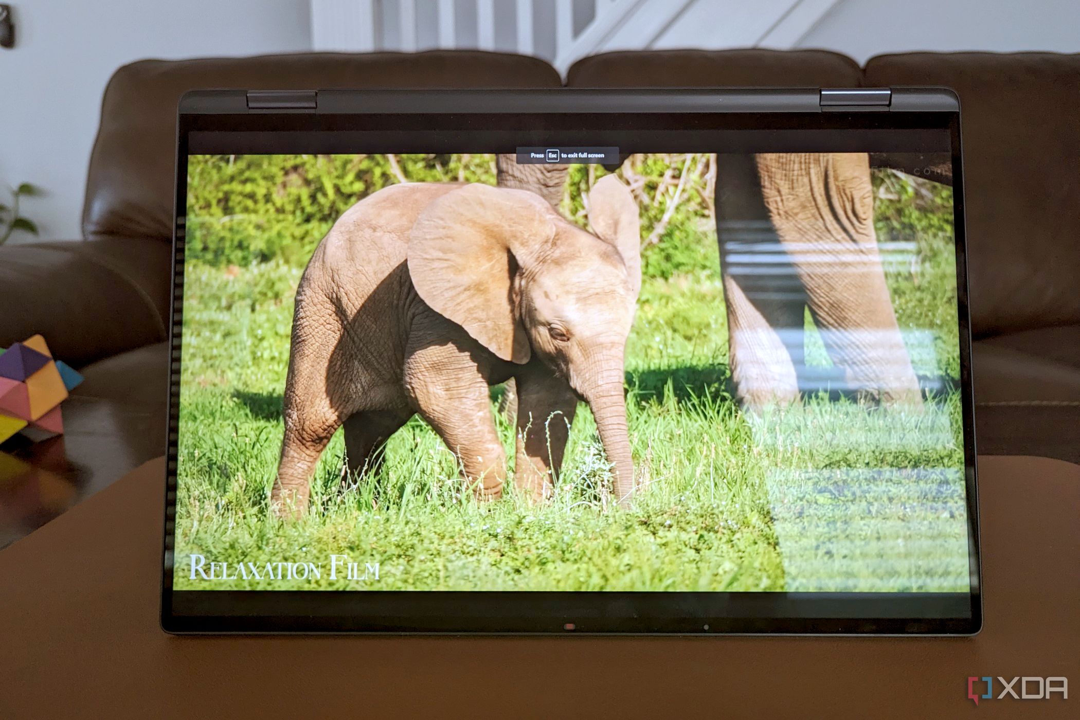 La pantalla del Dell Latitude 9440 que muestra un elefante.