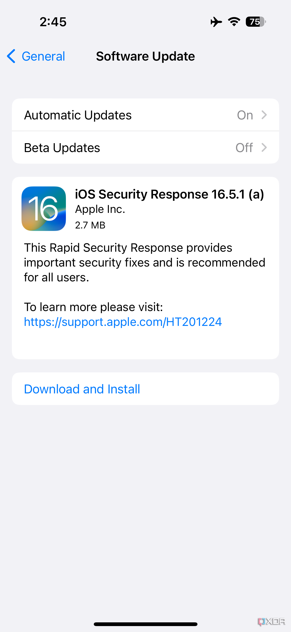 Apple RSR update 16.5.1 (a) on iPhone screenshot