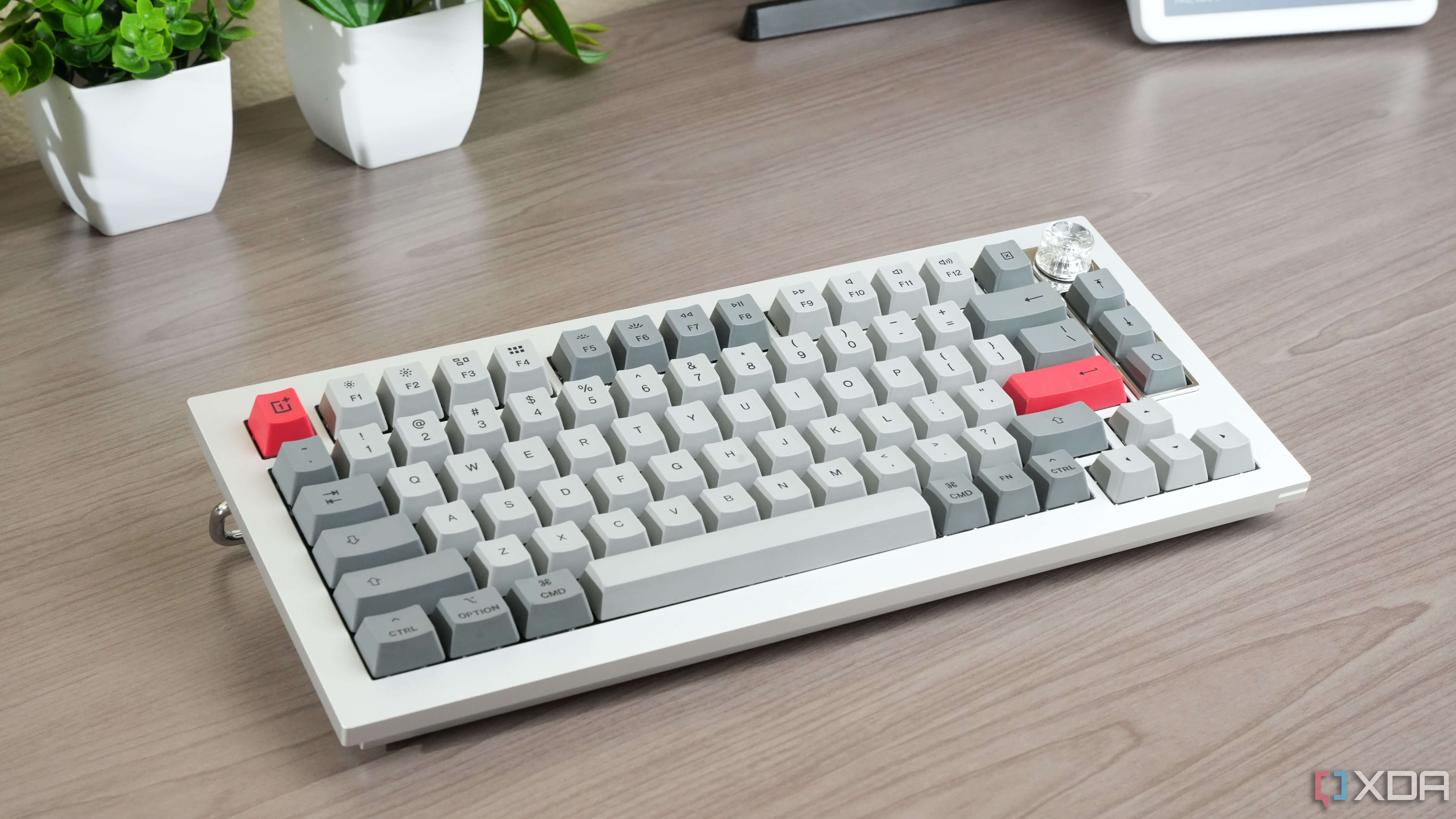 OnePlus Keyboard 81 Pro on a desk, with fake vegetation in the background