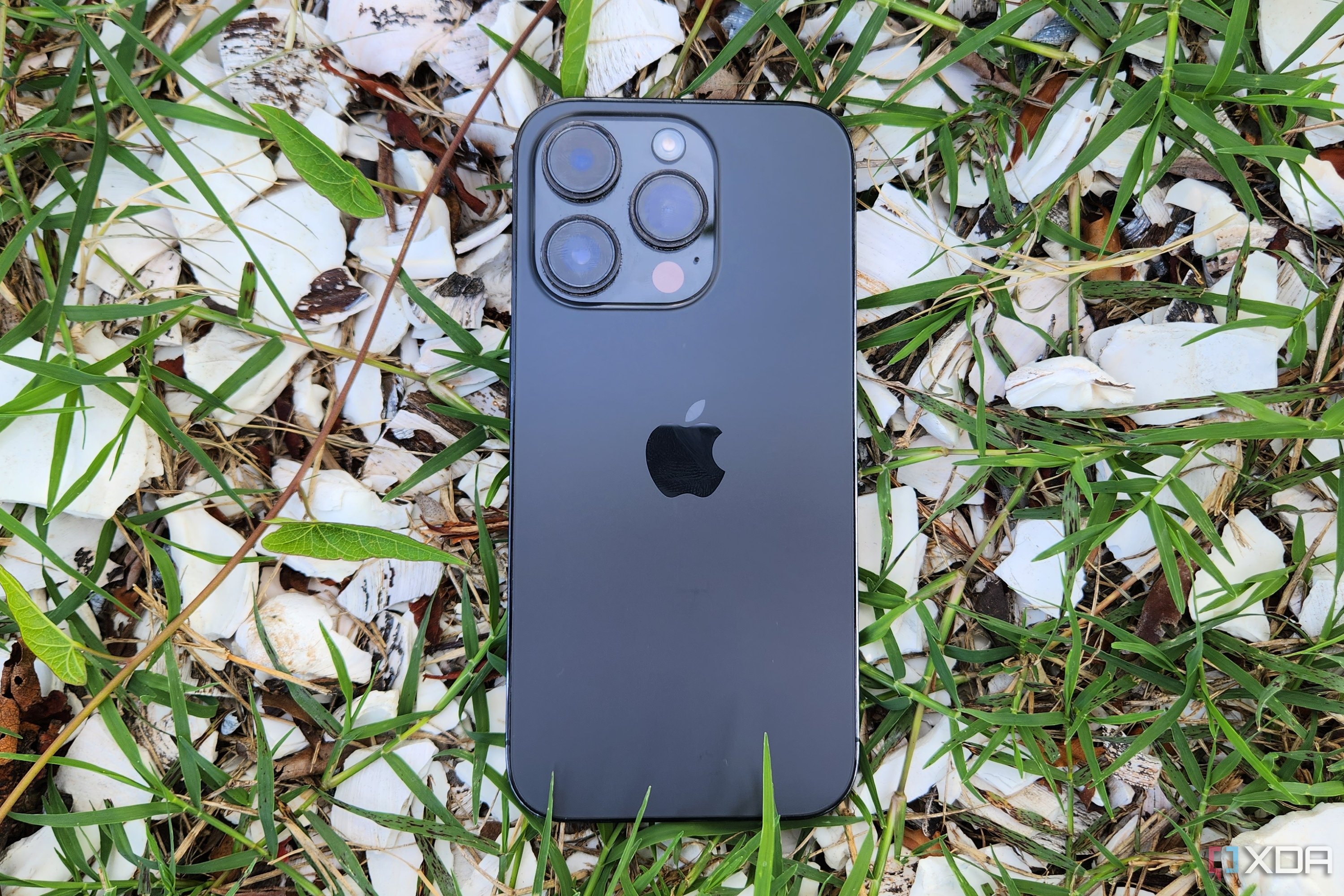 A Space Black iPhone 14 Pro resting on a grassy shell background.