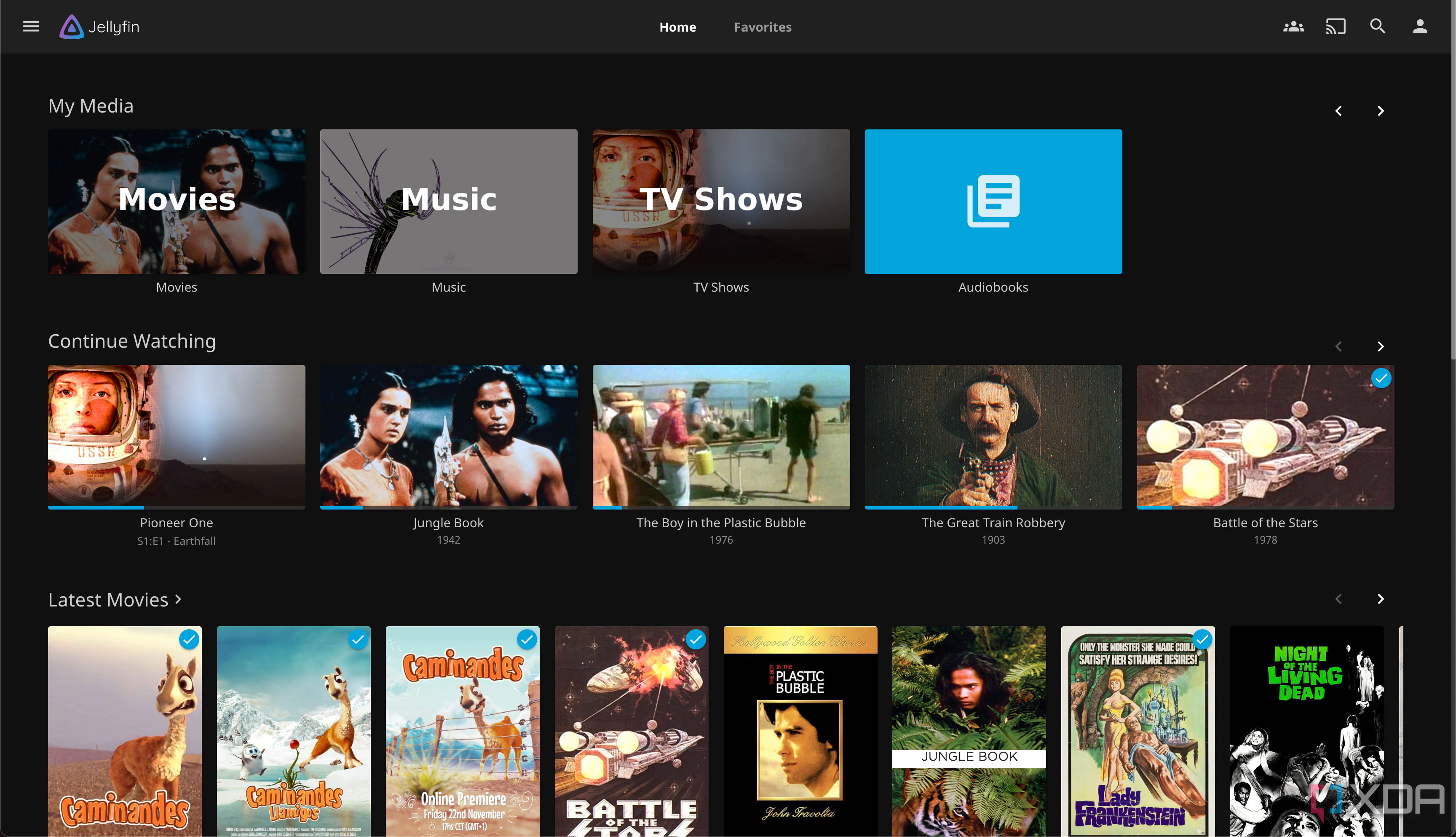 Jellyfin web panel with movies, music, TV shows, and audiobooks