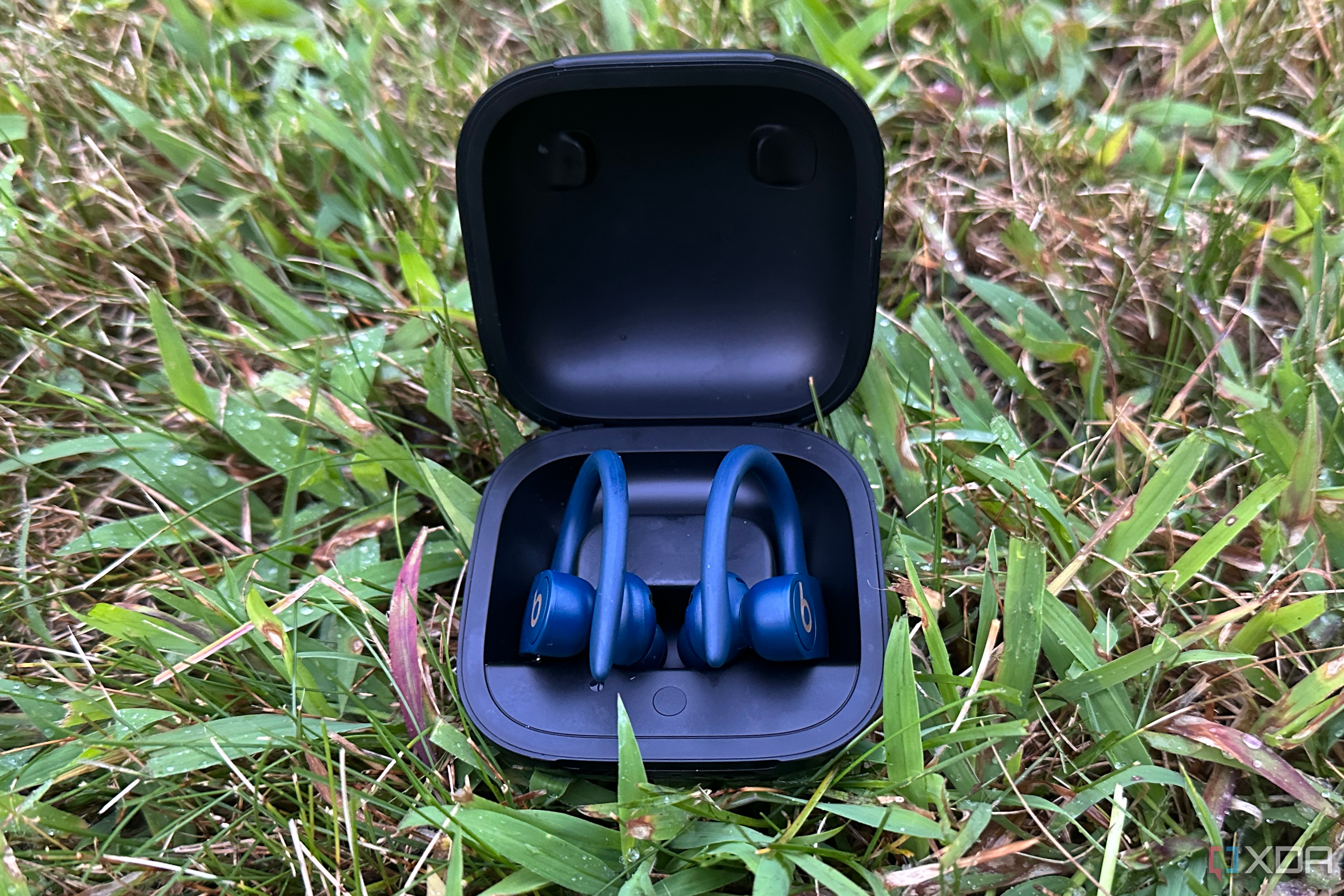 The Powerbeats Pro in their case on wet grass. 