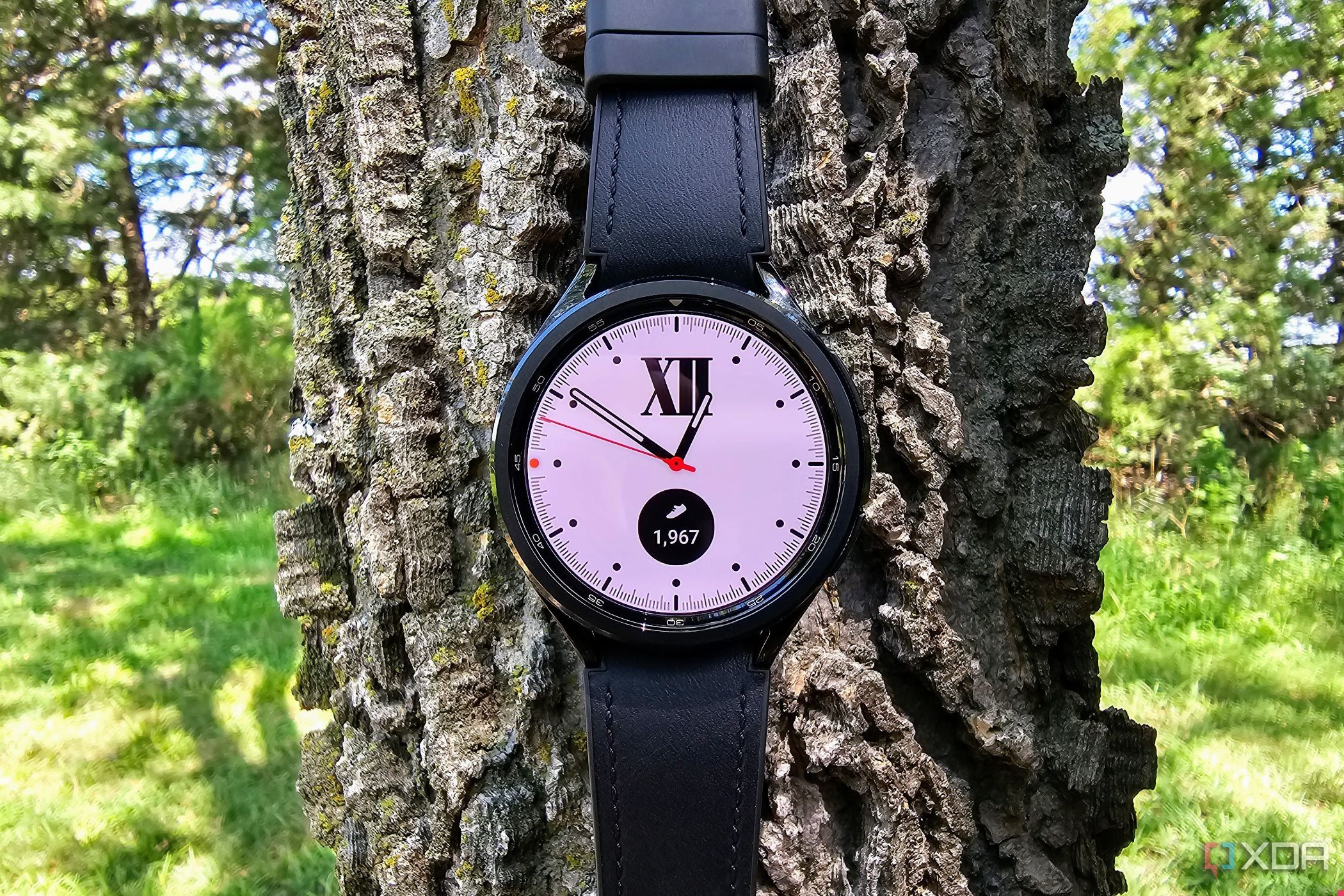 Samsung Galaxy Watch 6 Classic hanging on a tree classic white watch face.