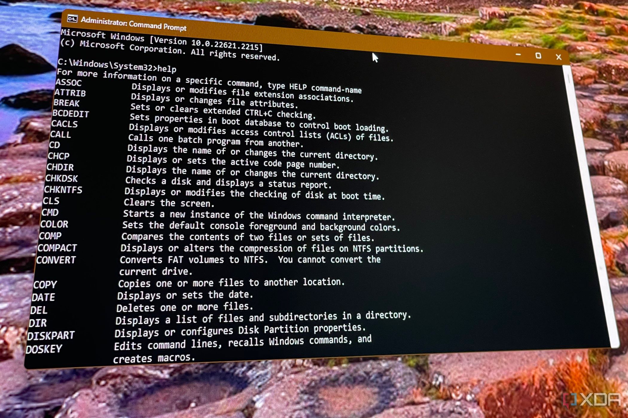 Command Prompt in Windows 11