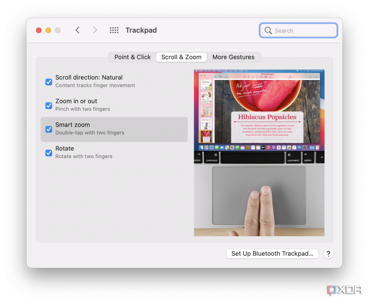 macOS trackpad settings for scroll and zoom gestures
