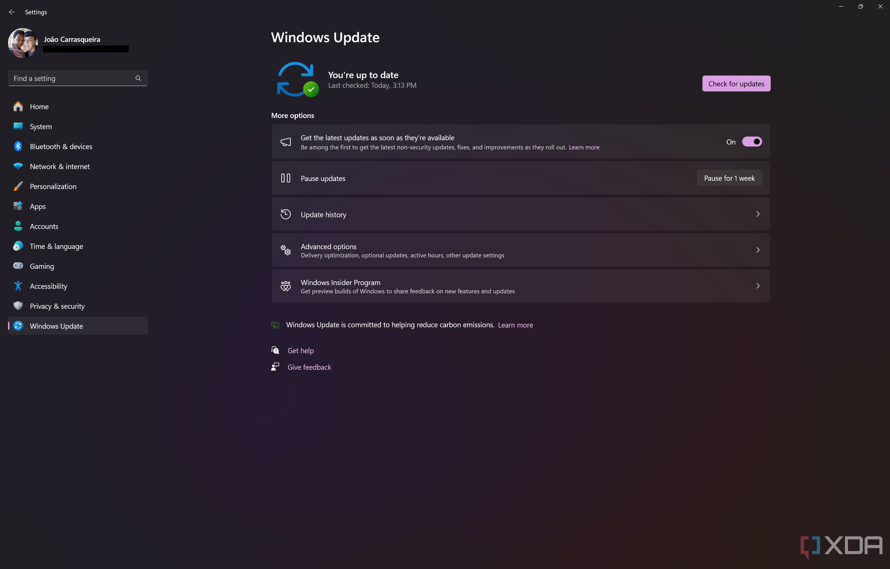 Screenshot of the Windows Update section in Windows 11 Settings