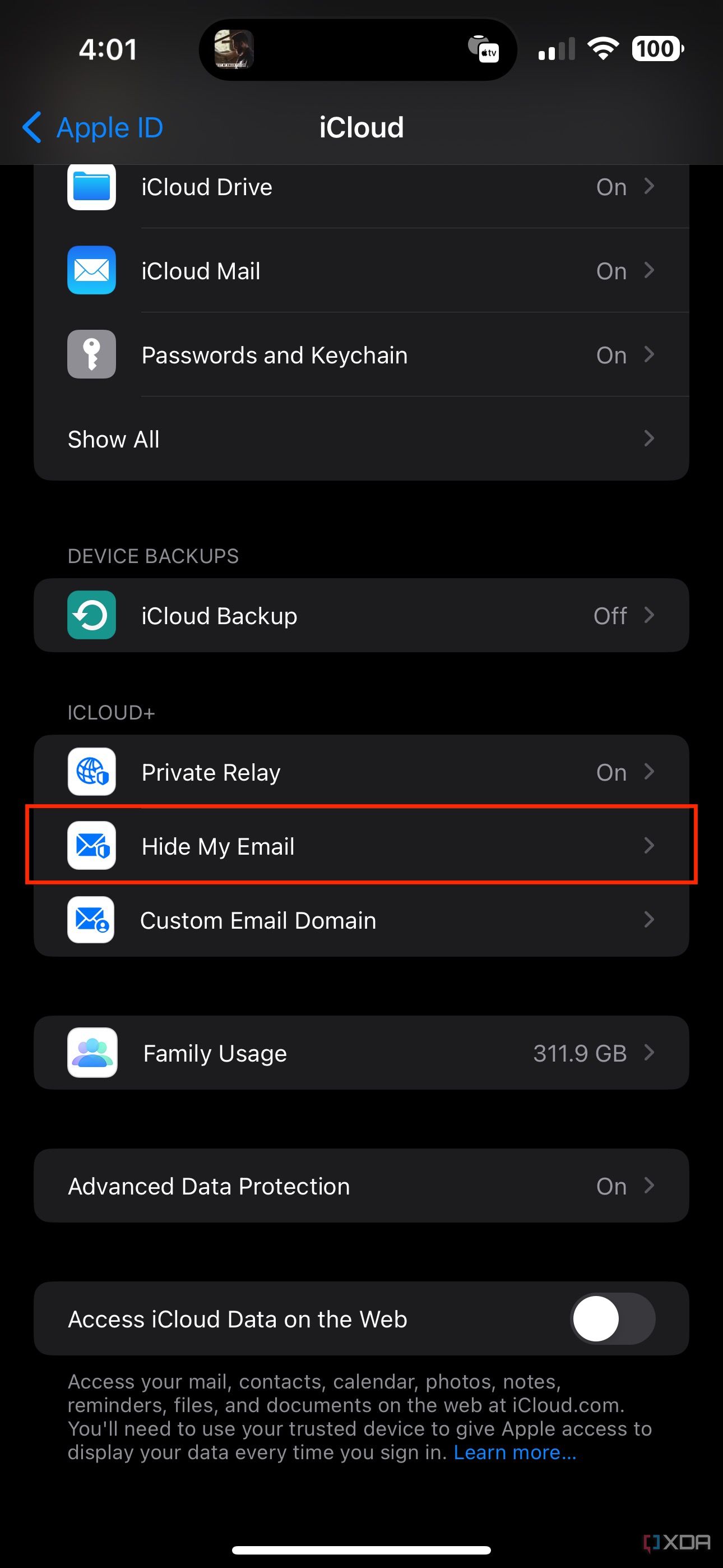hide my email section in iOS settings