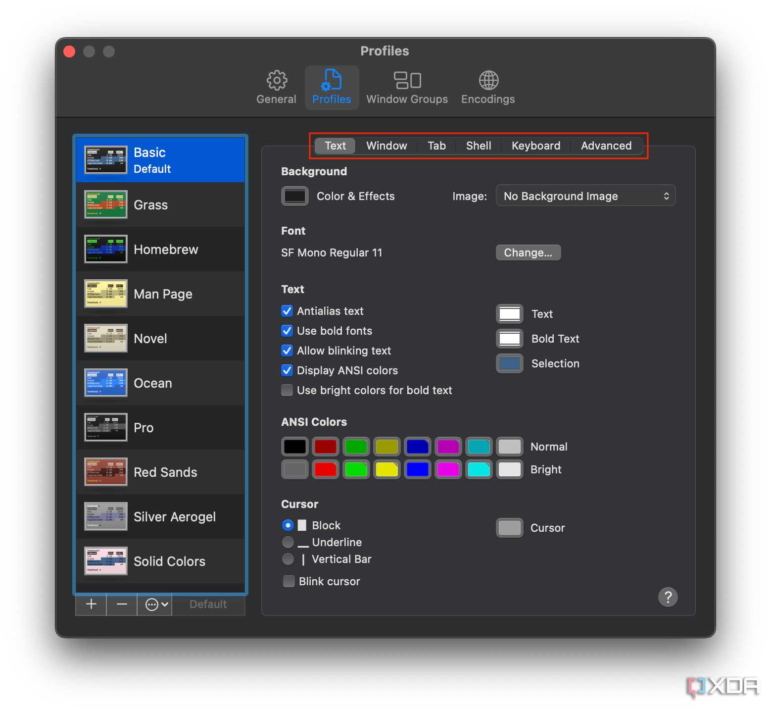 Opciones de perfil en la configuración del terminal