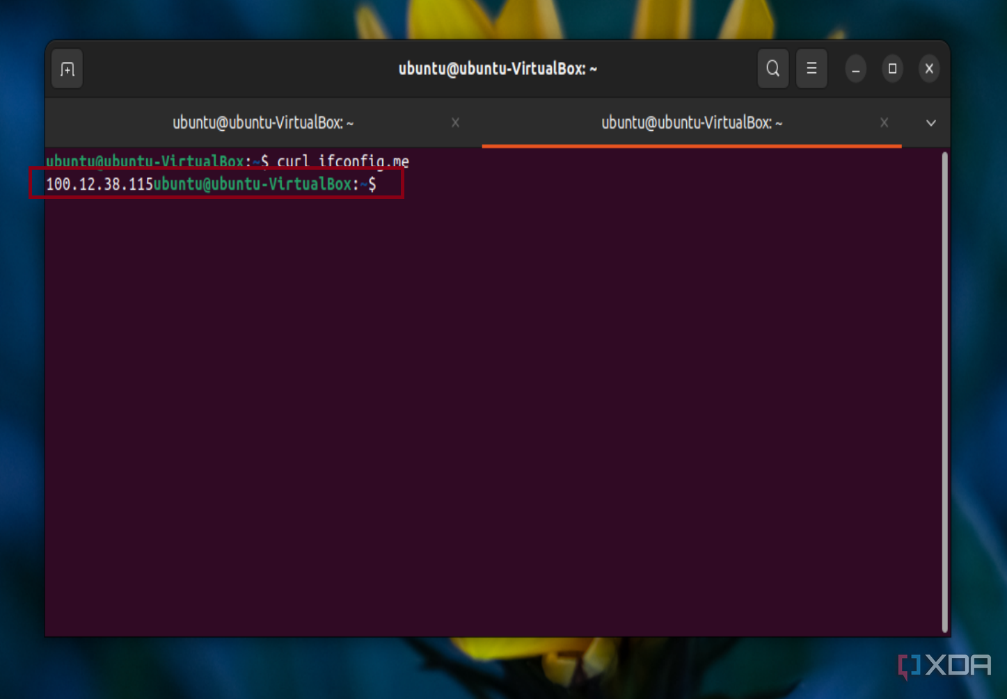 Скриншот команды Curl в Ubuntu для отображения общедоступного IP-адреса. 