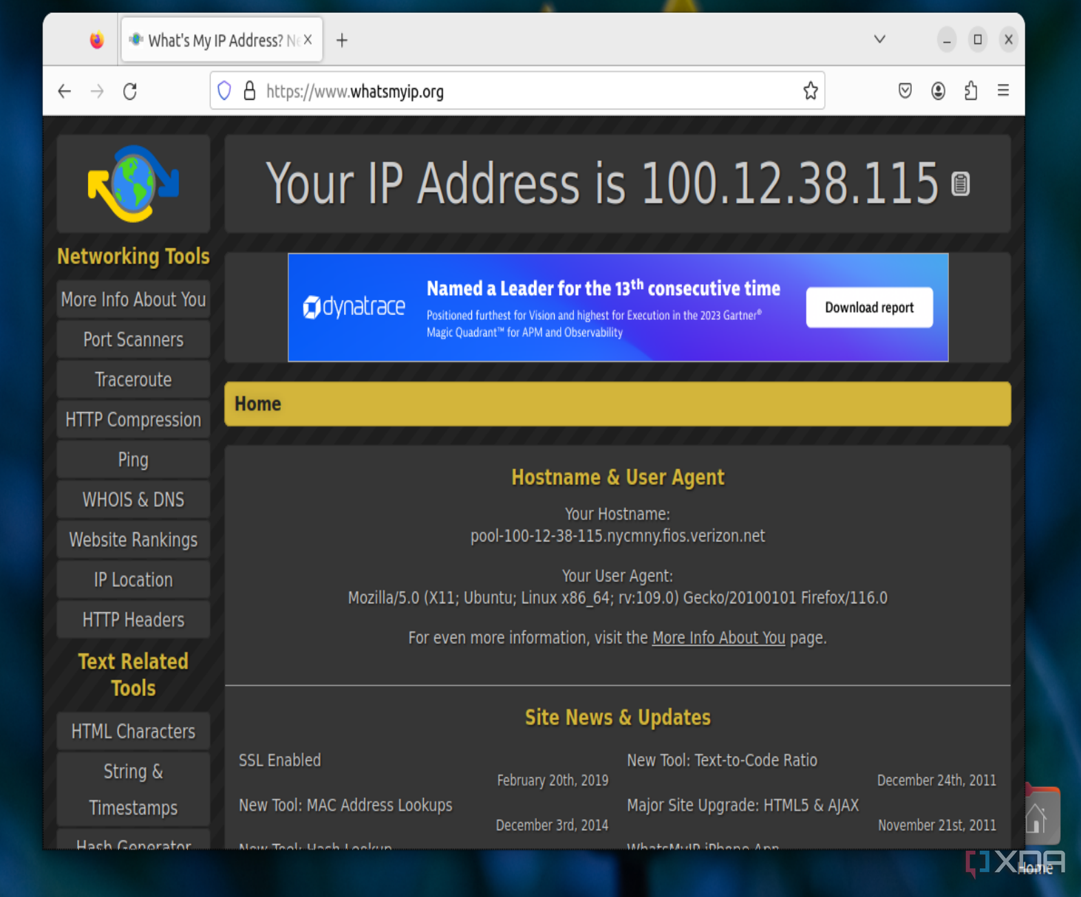 Скриншот общедоступного IP-адреса веб-браузера Firefox.