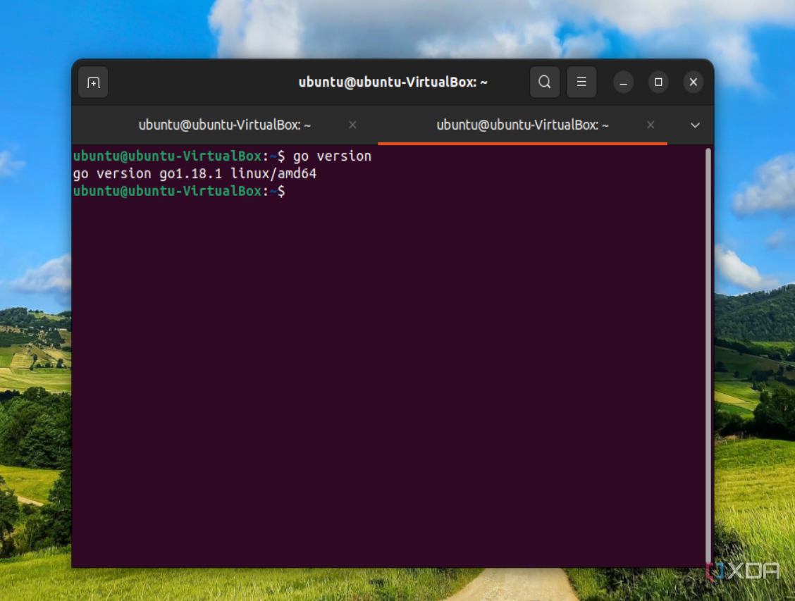 Una captura de pantalla que muestra la versión de Go en la terminal de Ubuntu