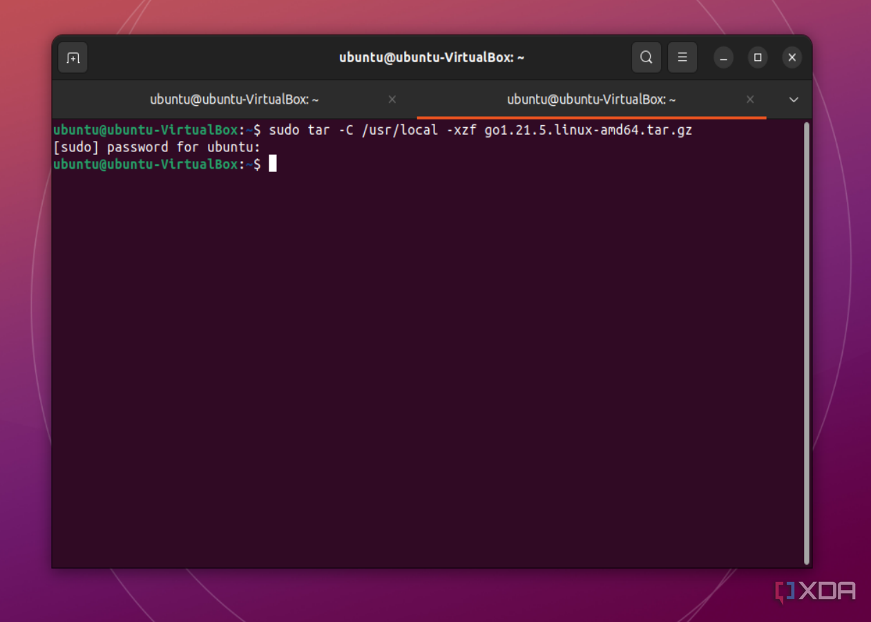 Una captura de pantalla del comando para extraer los archivos necesarios para Go en Ubuntu a través de la terminal