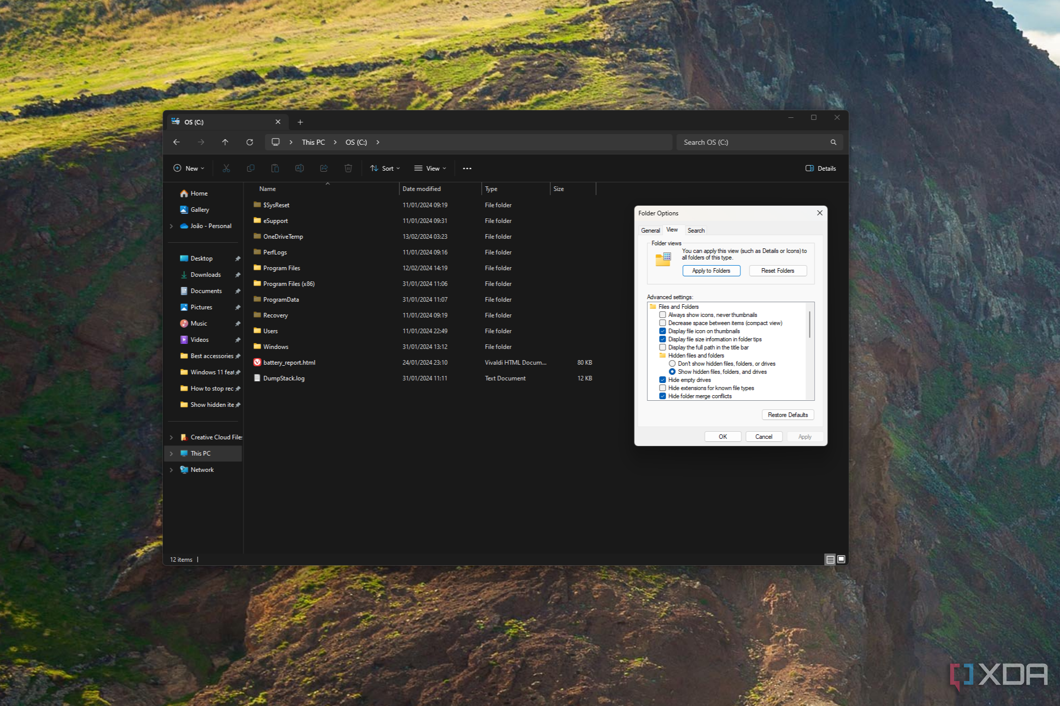 Screenshot of File Explorer showing hidden items