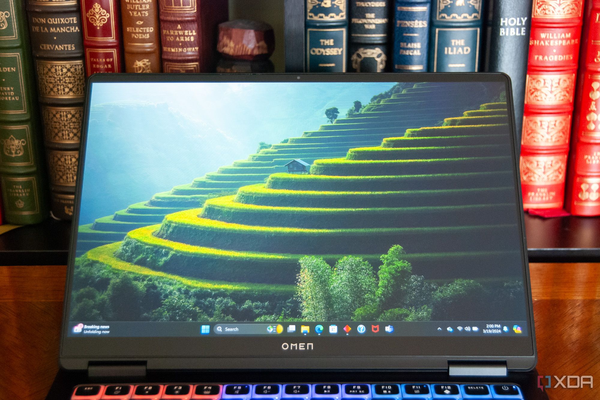 Primer plano de la pantalla de la HP Omen Transcend 14 (2024)