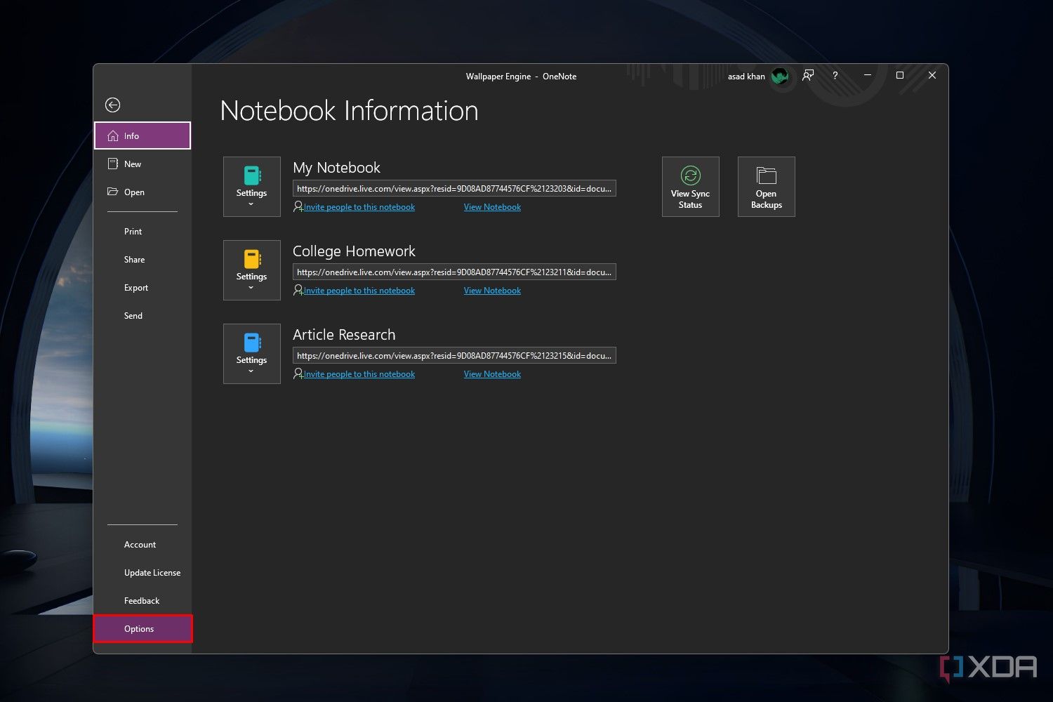 Снимок экрана Windows 11, на котором выделена вкладка «Параметры» в приложении OneNote.