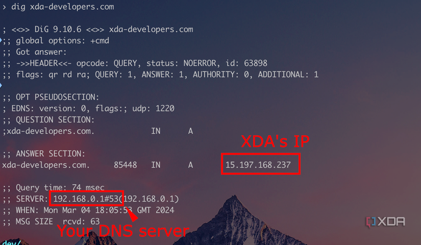 Screenshot showing how to dig for a DNS server.