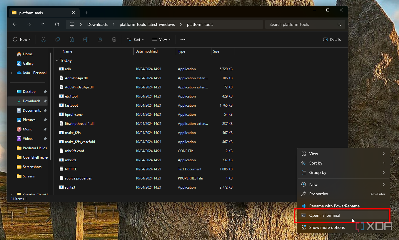Screenshot of File Explorer with the option to open in Terminal highlighted