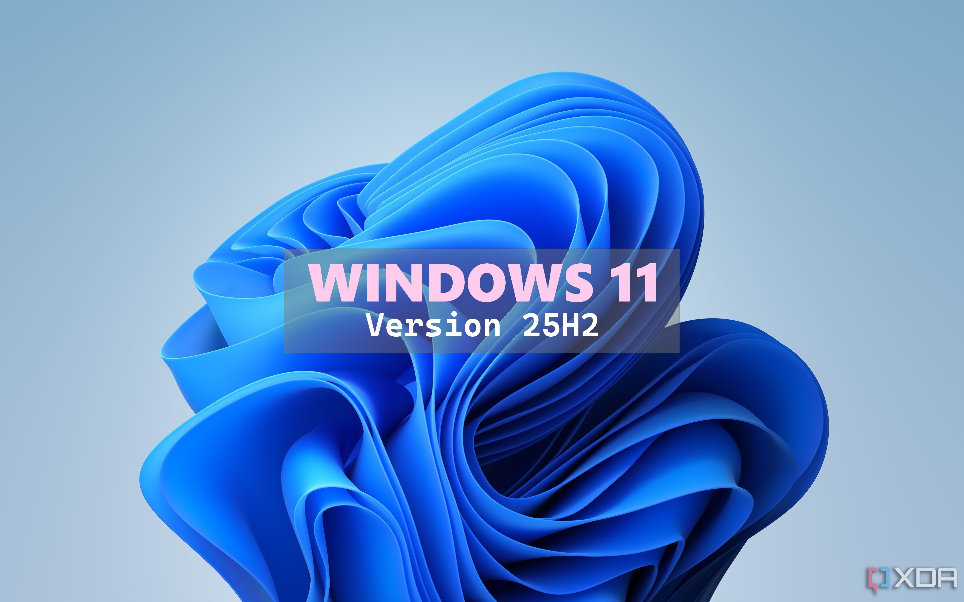 Windows 11 Bloom wallpaper with text reading Windows 11 Version 25H2 over it