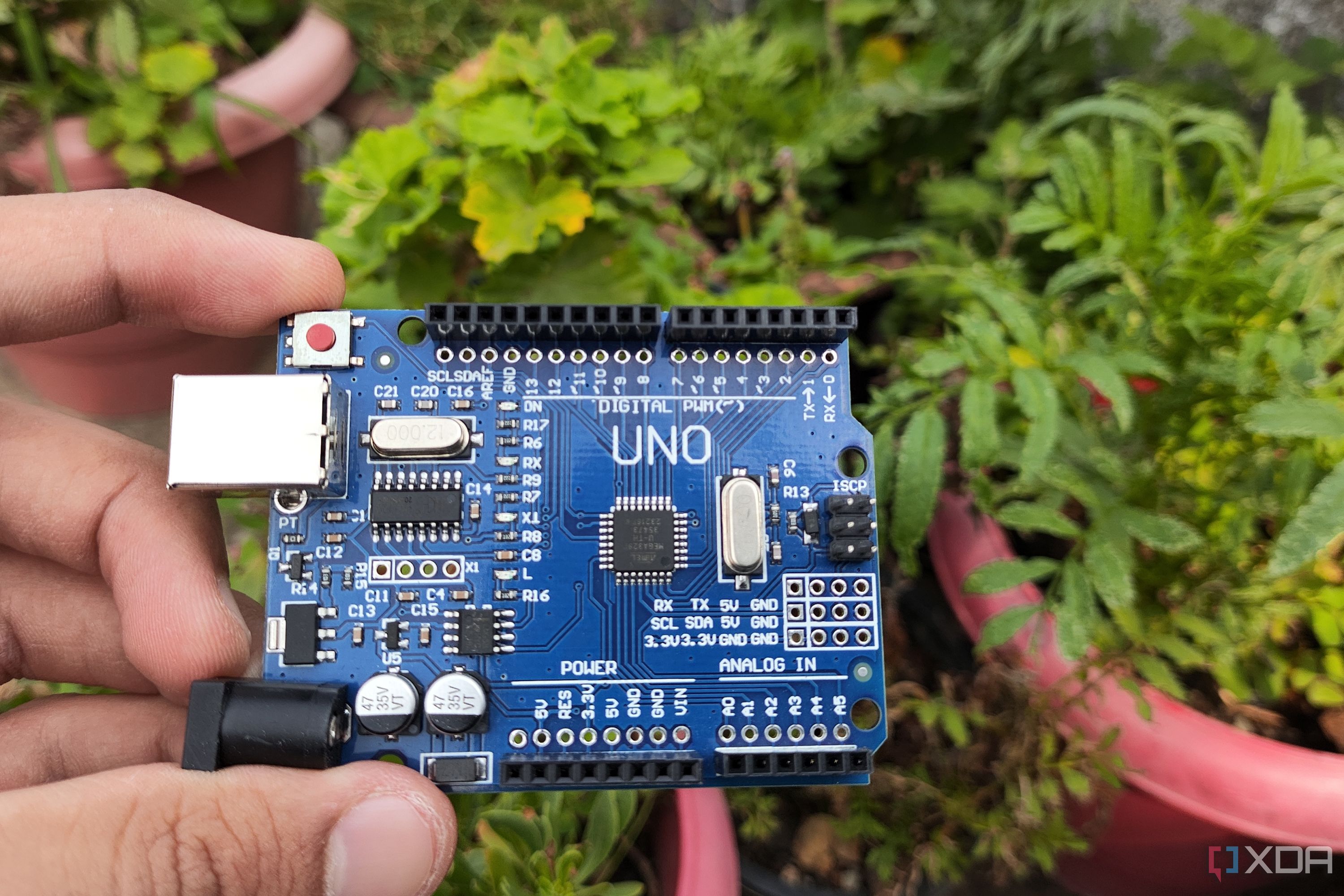 An Arduino board held in front of some plants